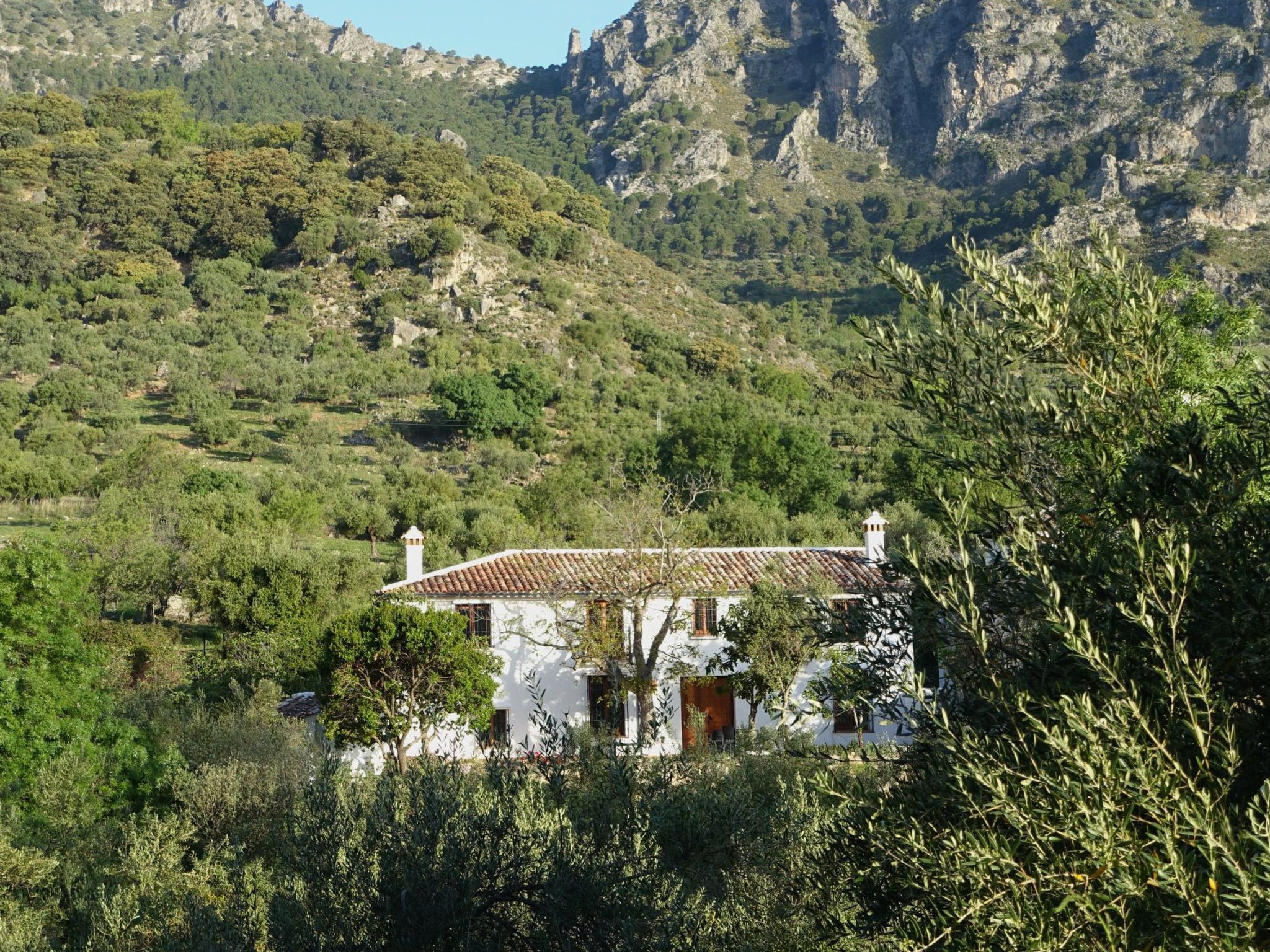 Gemütliches Landhaus Betania in Grazalema-Binnen