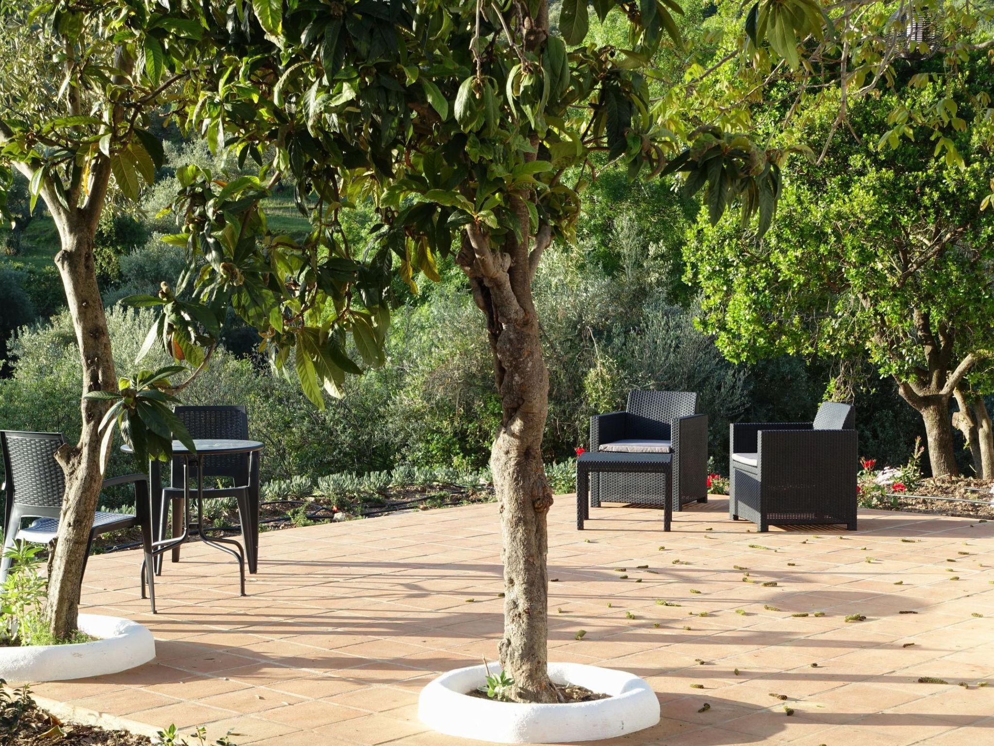 Gemütliches Landhaus Betania in Grazalema-Binnen