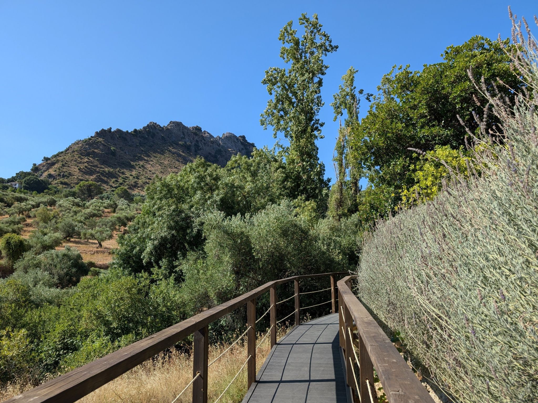 Gemütliches Landhaus Betania in Grazalema-Binnen