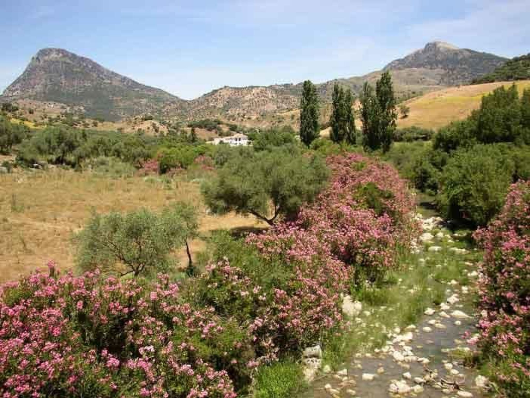 Sfeervol vakantiehuis met terras bij een waterval in Grazalema - foto 12