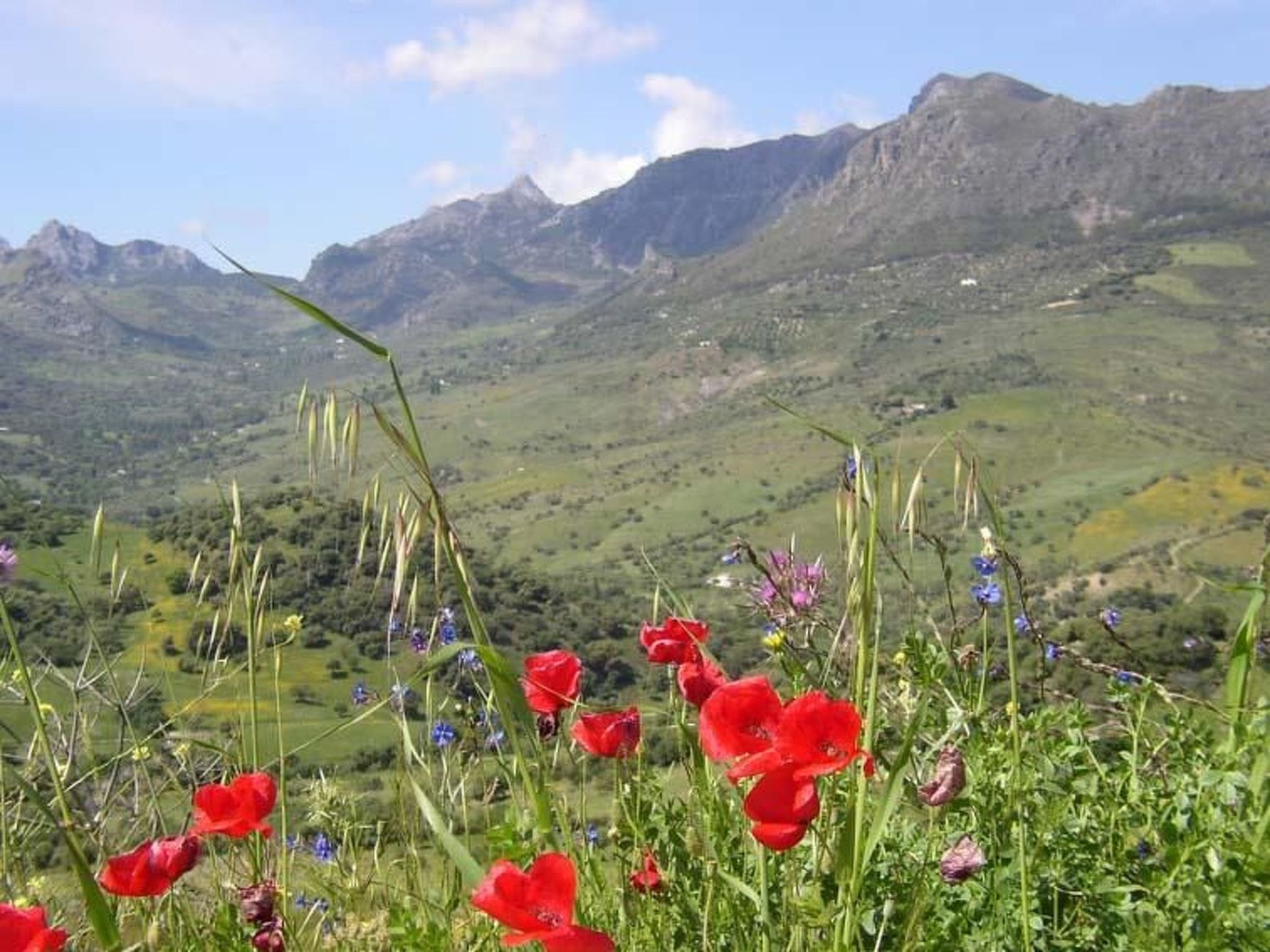 Sfeervol vakantiehuis met terras bij een waterval in Grazalema - foto 13