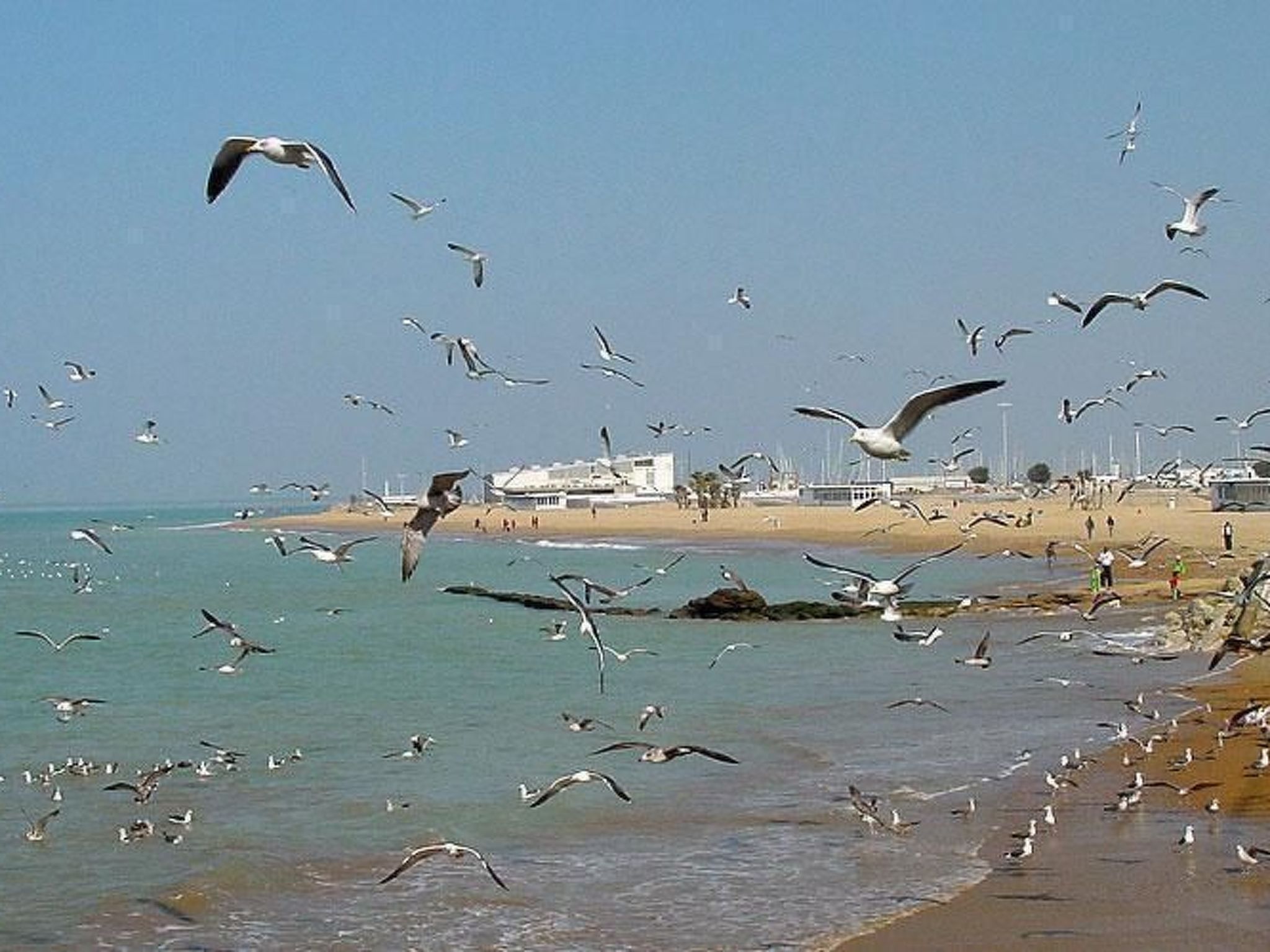 Touristenwohnung "Apartment" mit Terrasse-Binnen