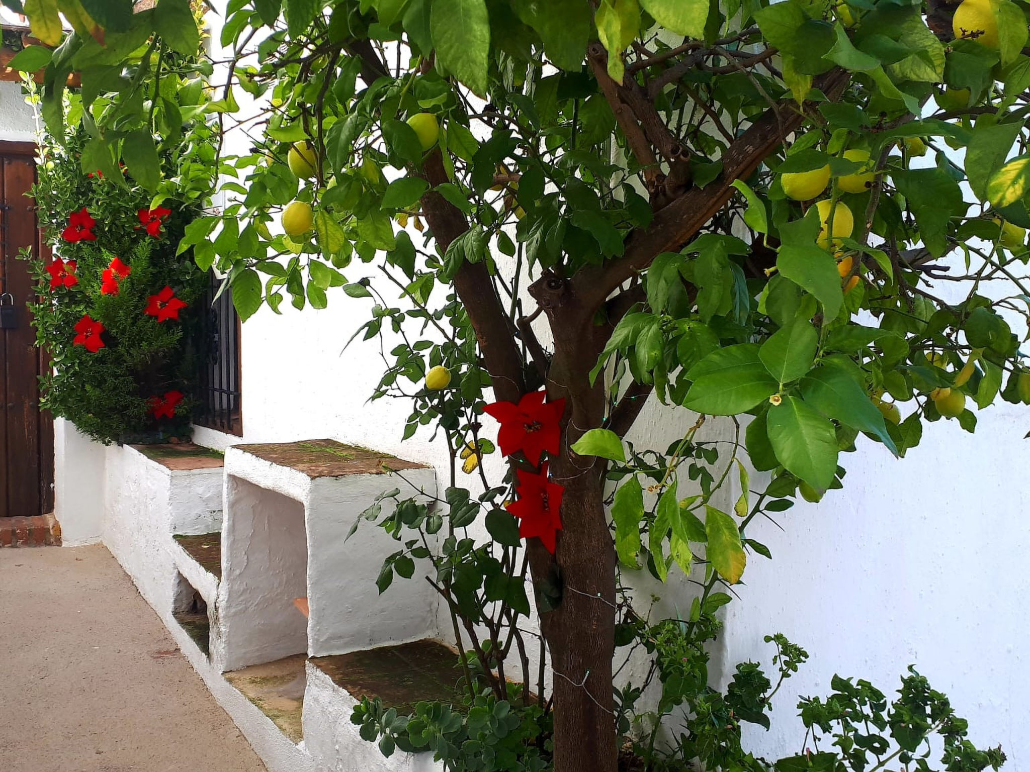 Casa la Solana — House (5 of 25)