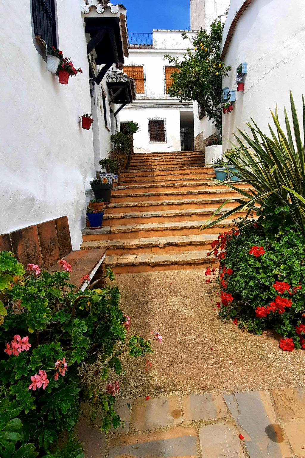 Casa la Solana - Buiten