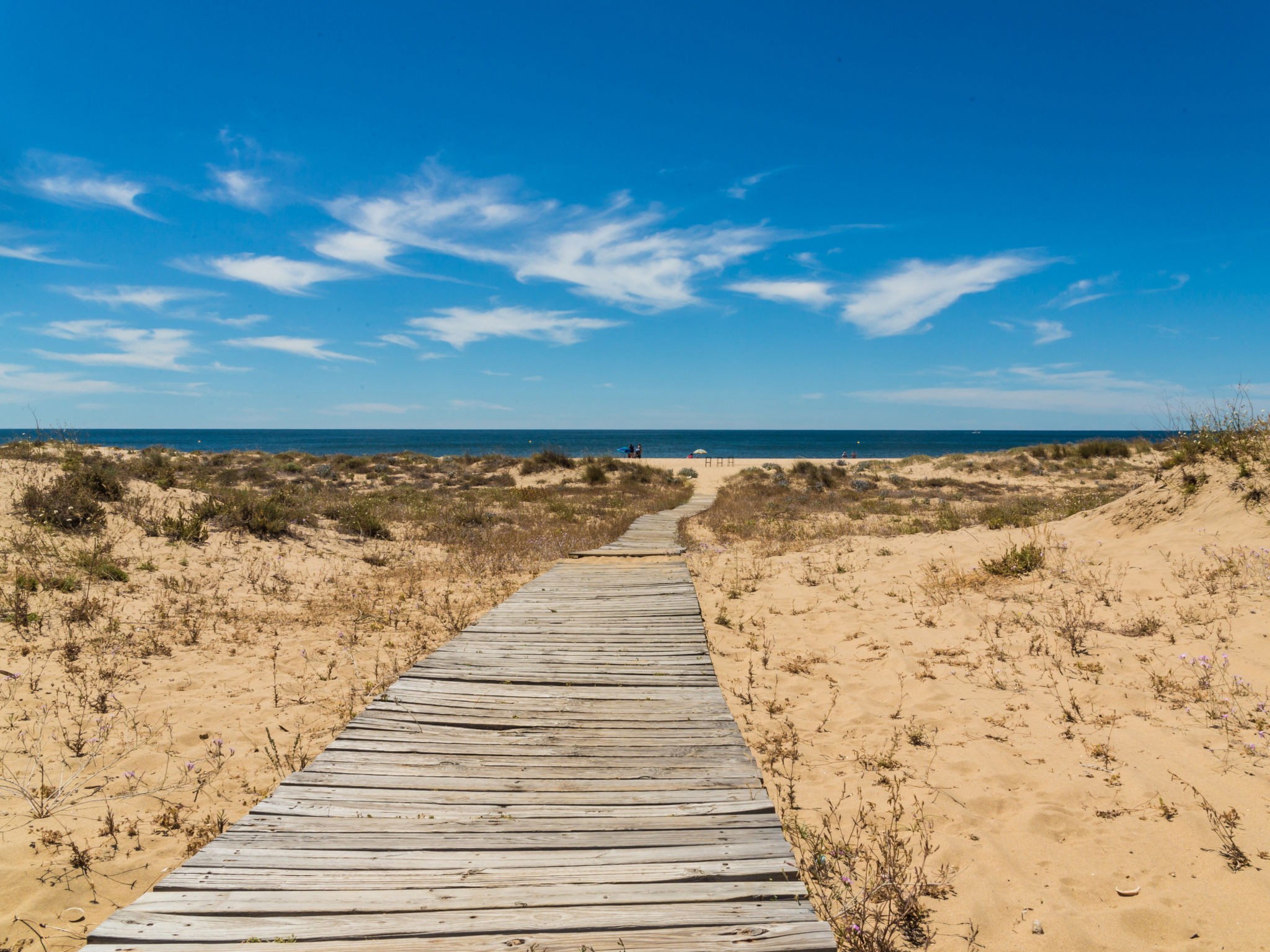 Holiday Rental Accommodation