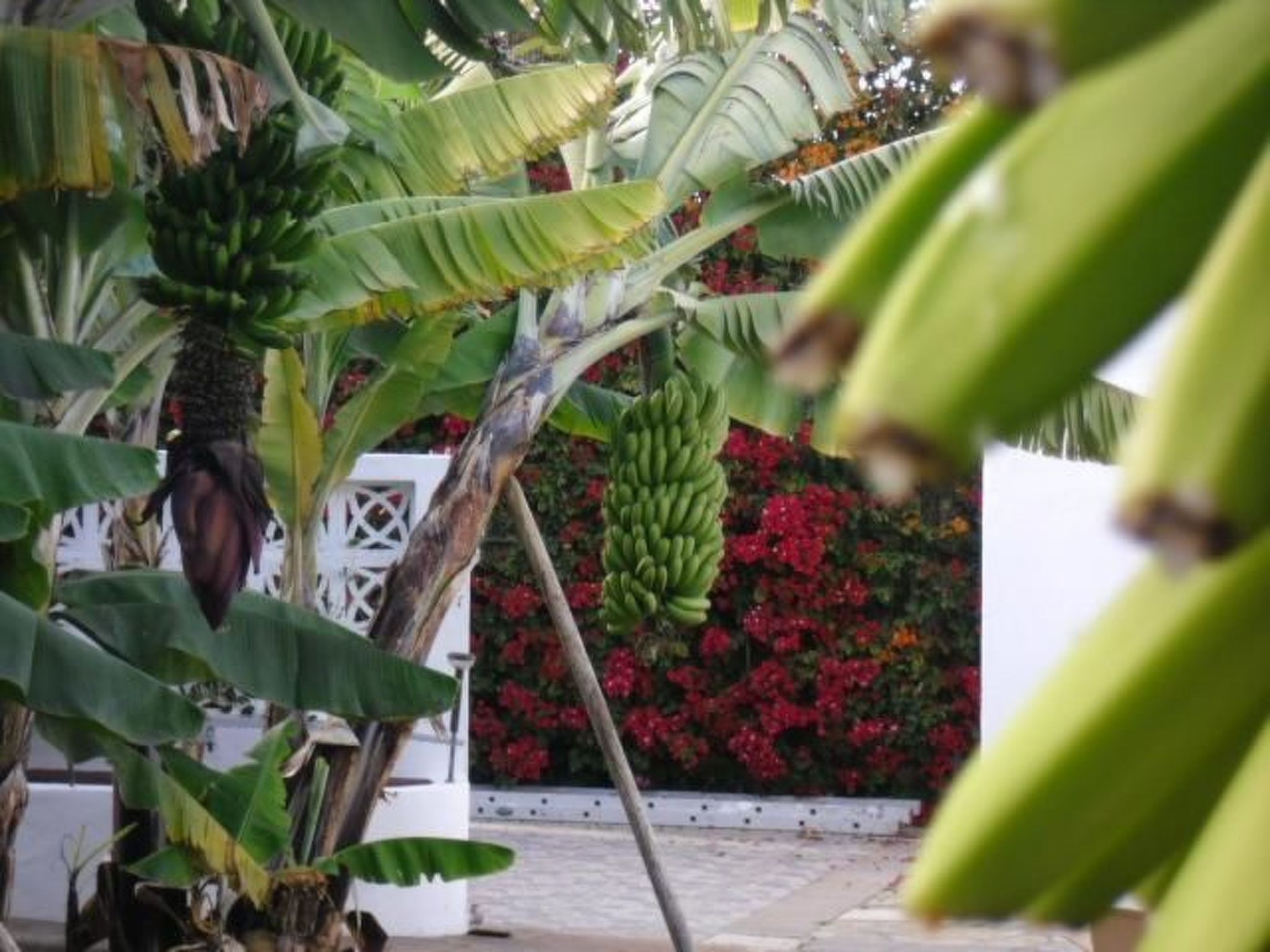 Urlaub in der Natur mit Meerblick-Image-tags.info