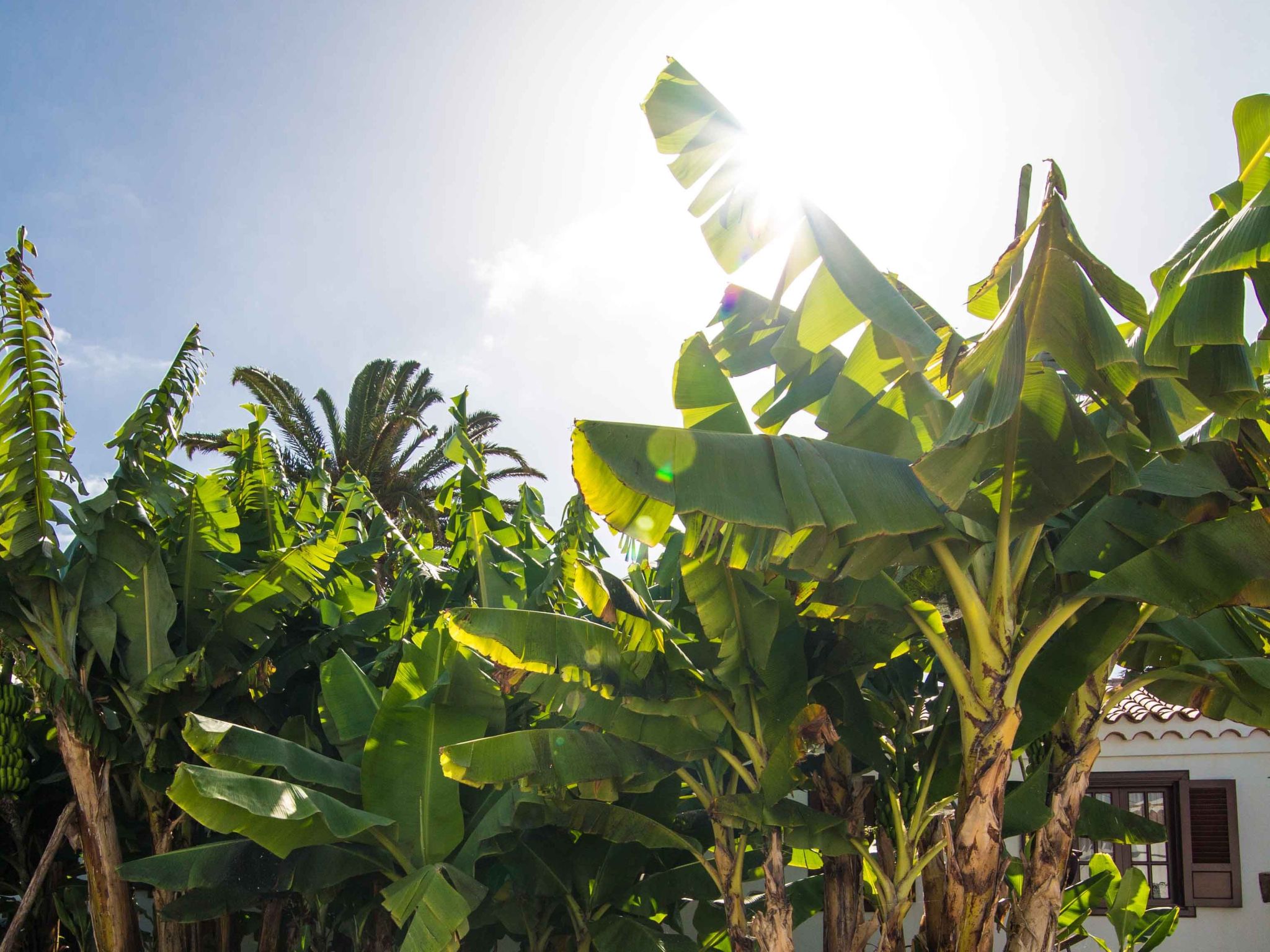 Familienfinca auf dem Lande mit Schwimmbad-Outside