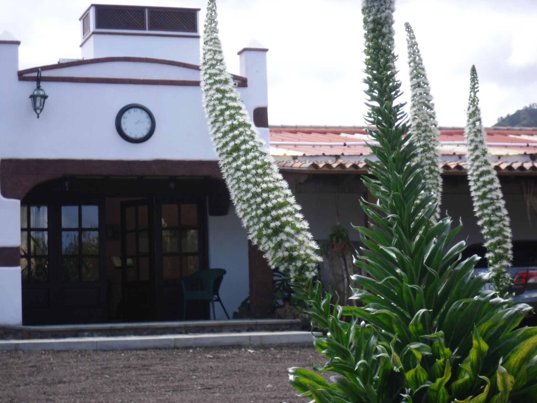 Familienfinca auf dem Lande mit Schwimmbad-Outside