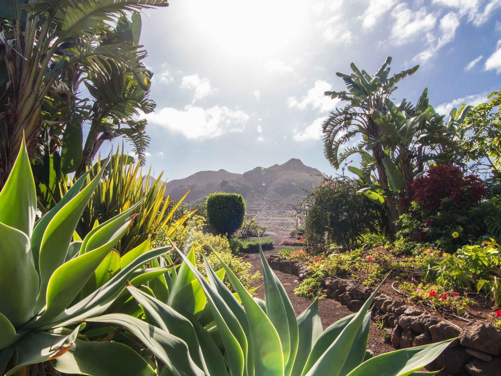 Familienanwesen von 60.000 m2 mit Schwimmbad-Image-tags.info