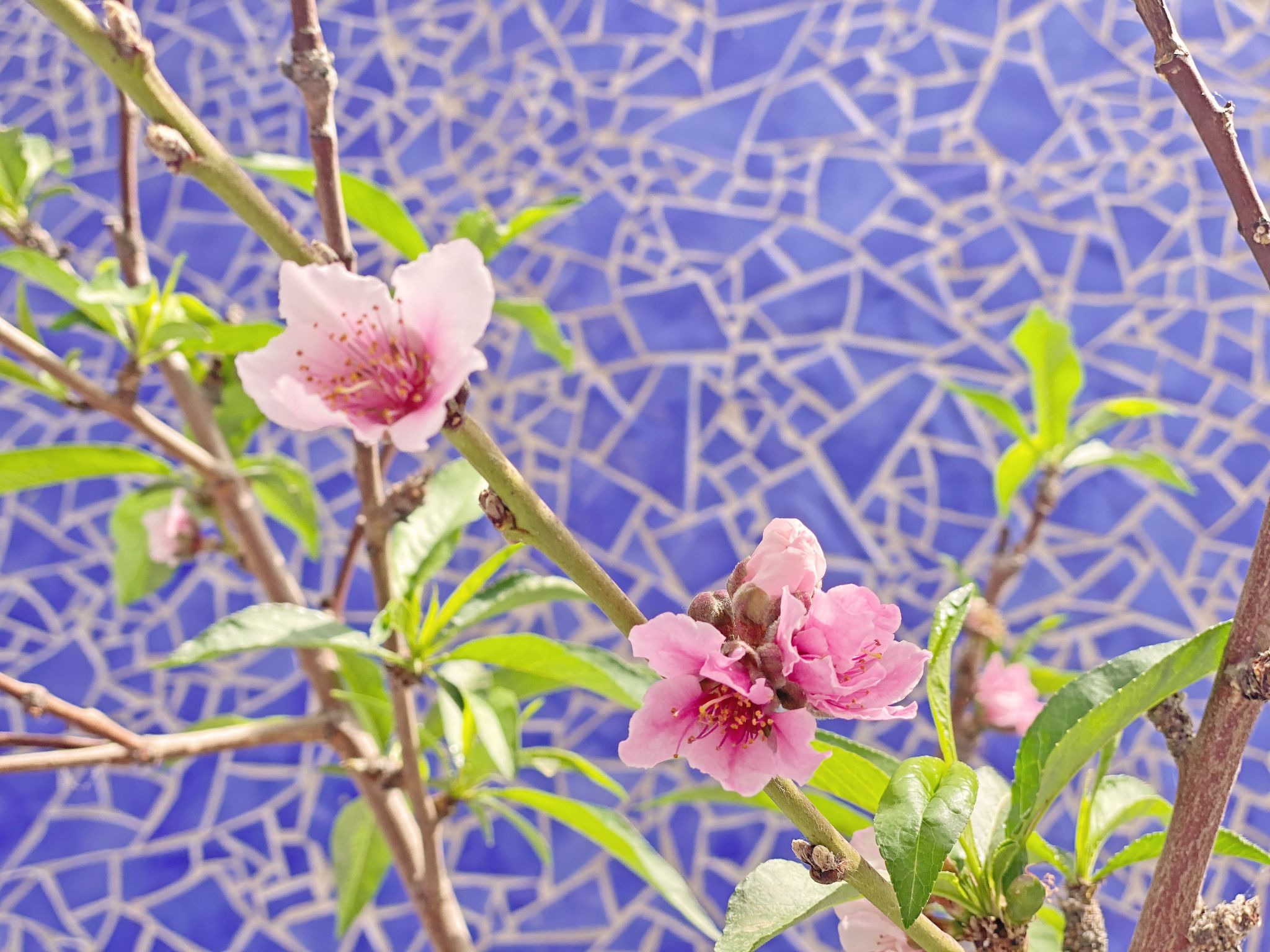 Villa Castillo Moro-Image-tags.info