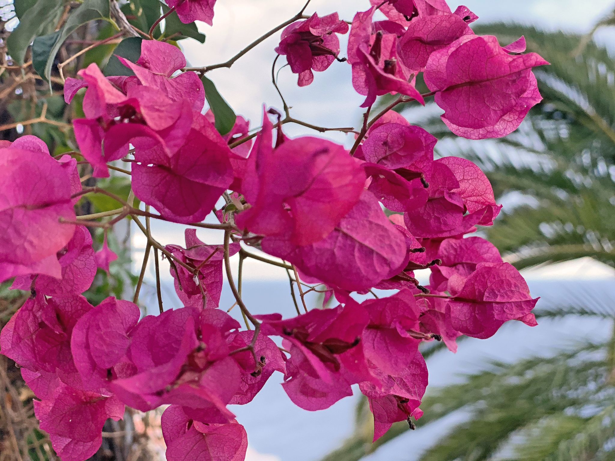 Villa Castillo Moro-Image-tags.info