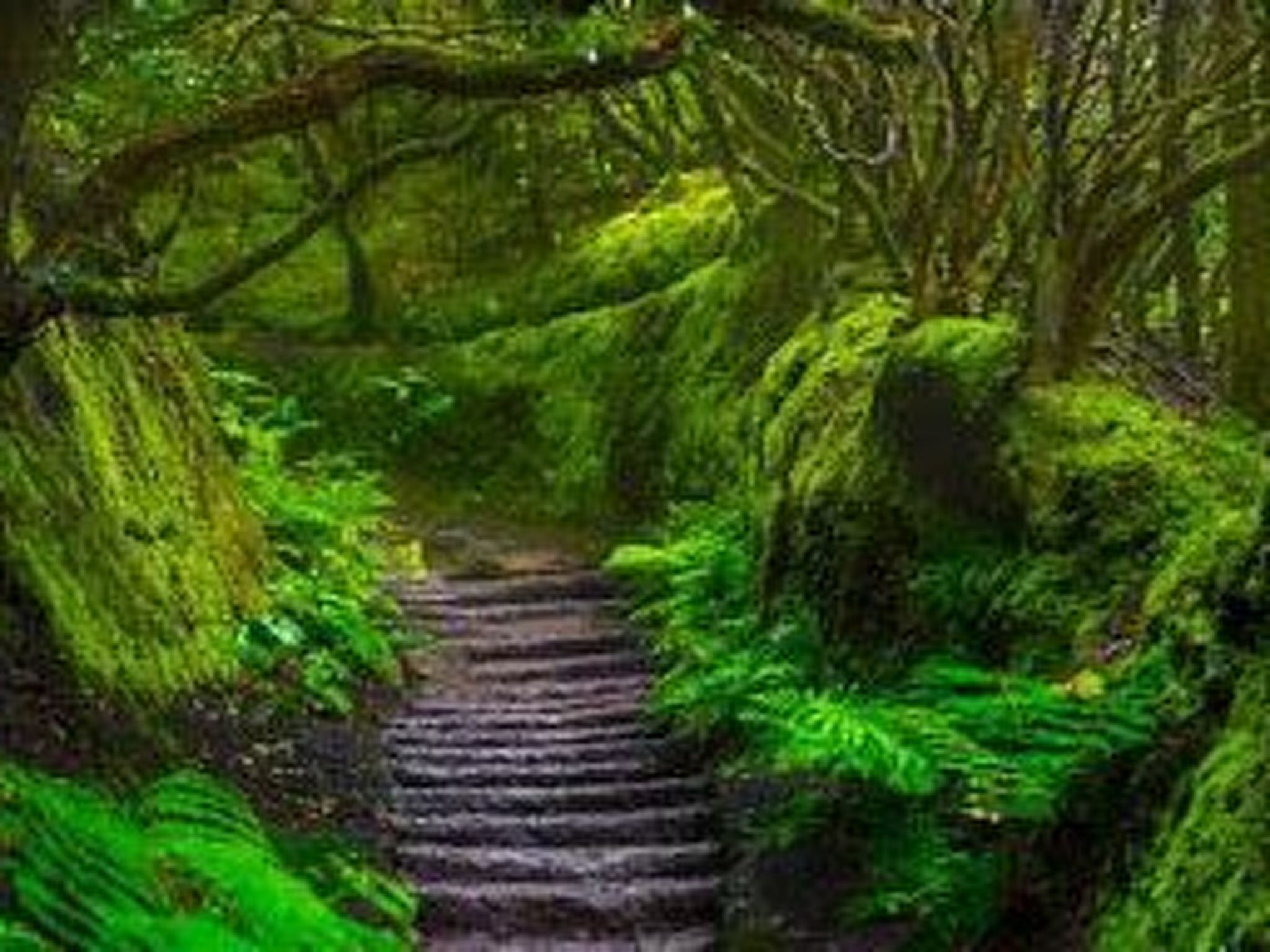 Schöne Wohnung Radazul Meerblick-Dedans
