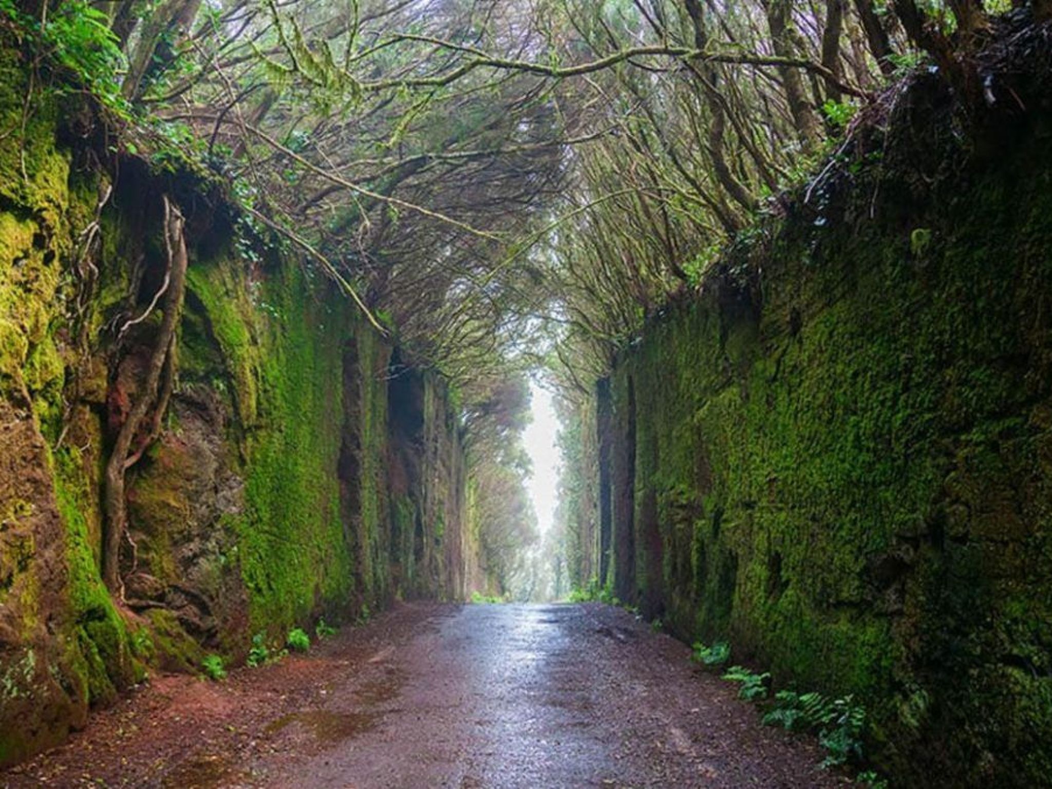 Schöne Wohnung Radazul Meerblick-Dedans