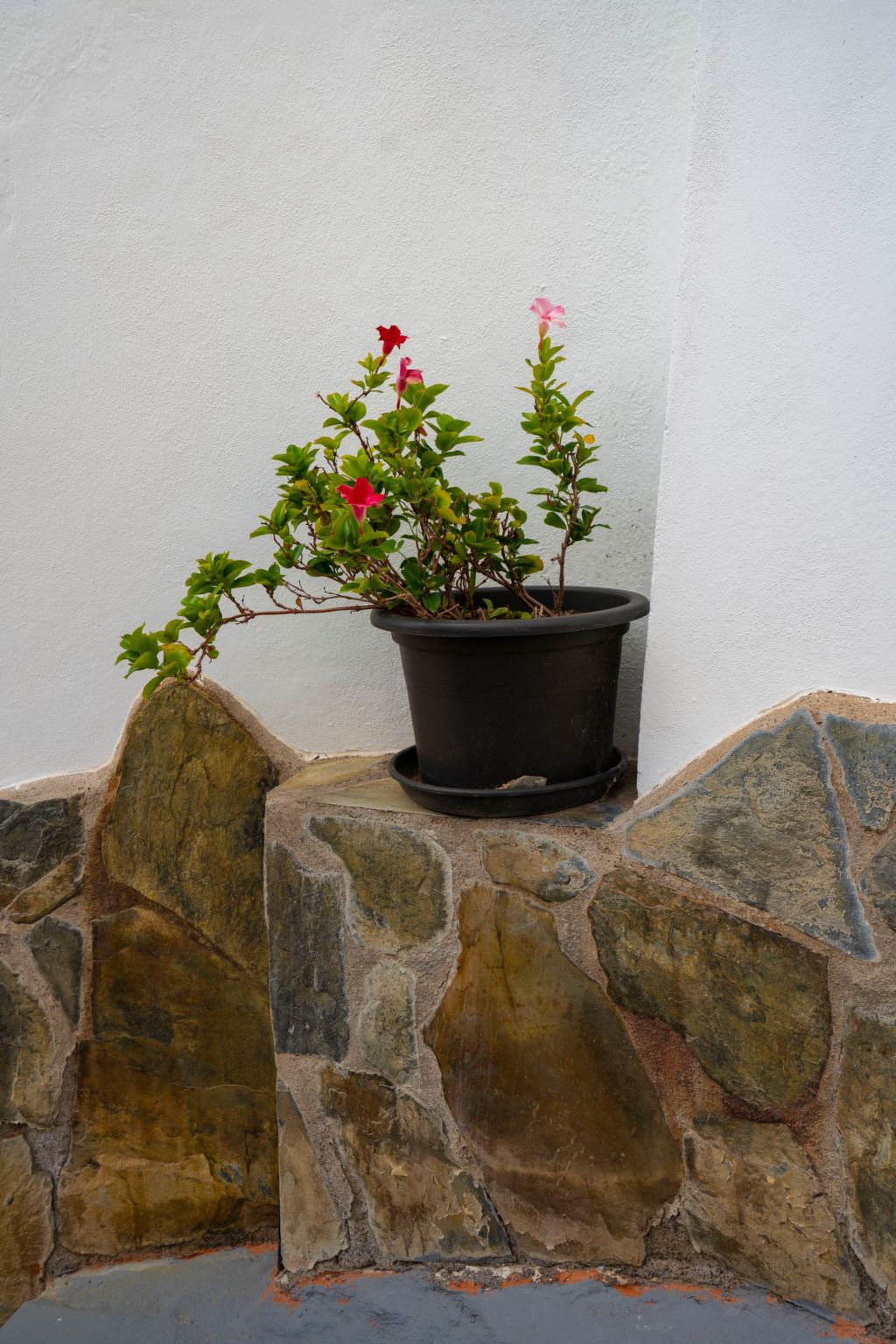 Für 4 Personen ca. 70 m&sup2; in Bocacangrejo, Teneriffa (Ostküste von Teneriff-Image-tags.info