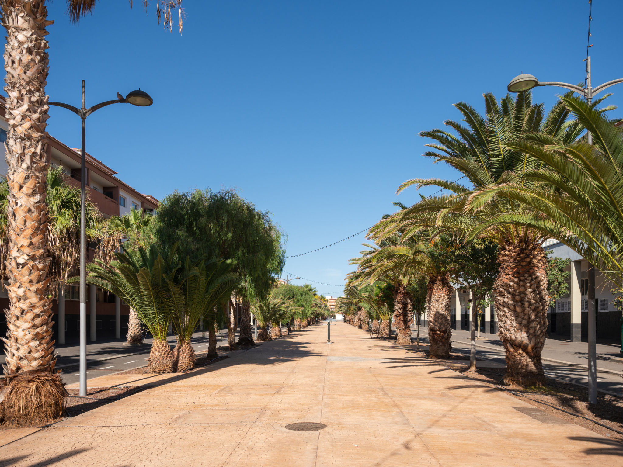 Brisas de Güimar - Buiten