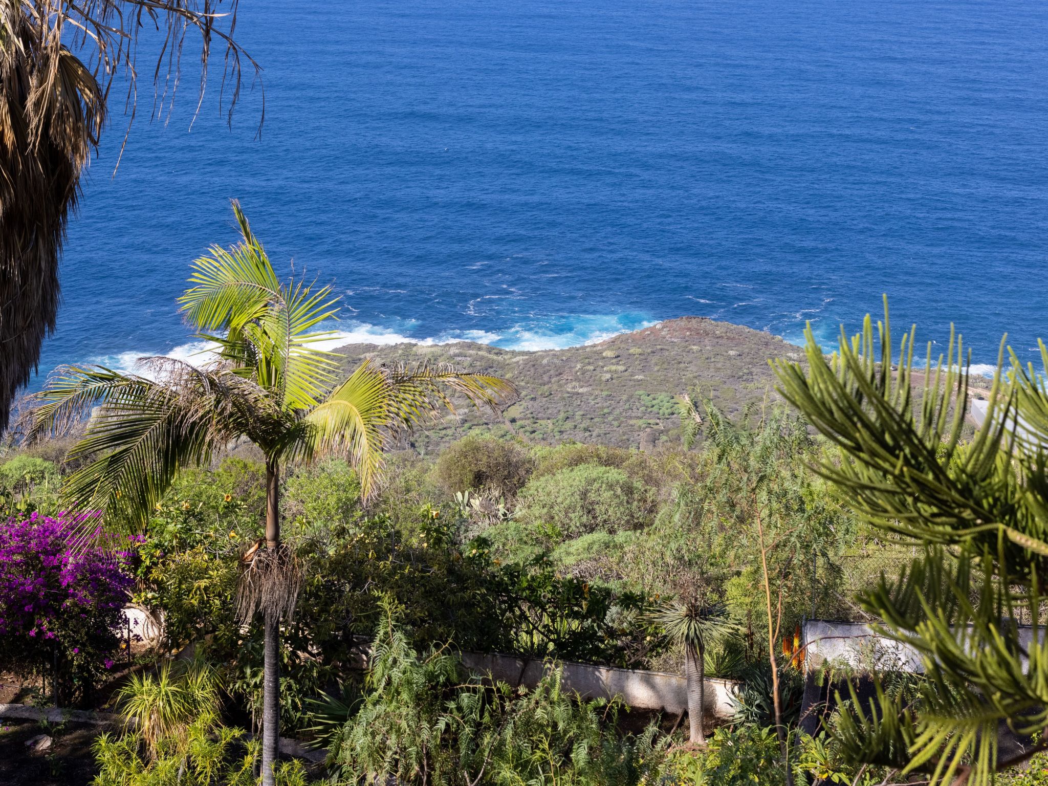 El Refugio-Image-tags.info