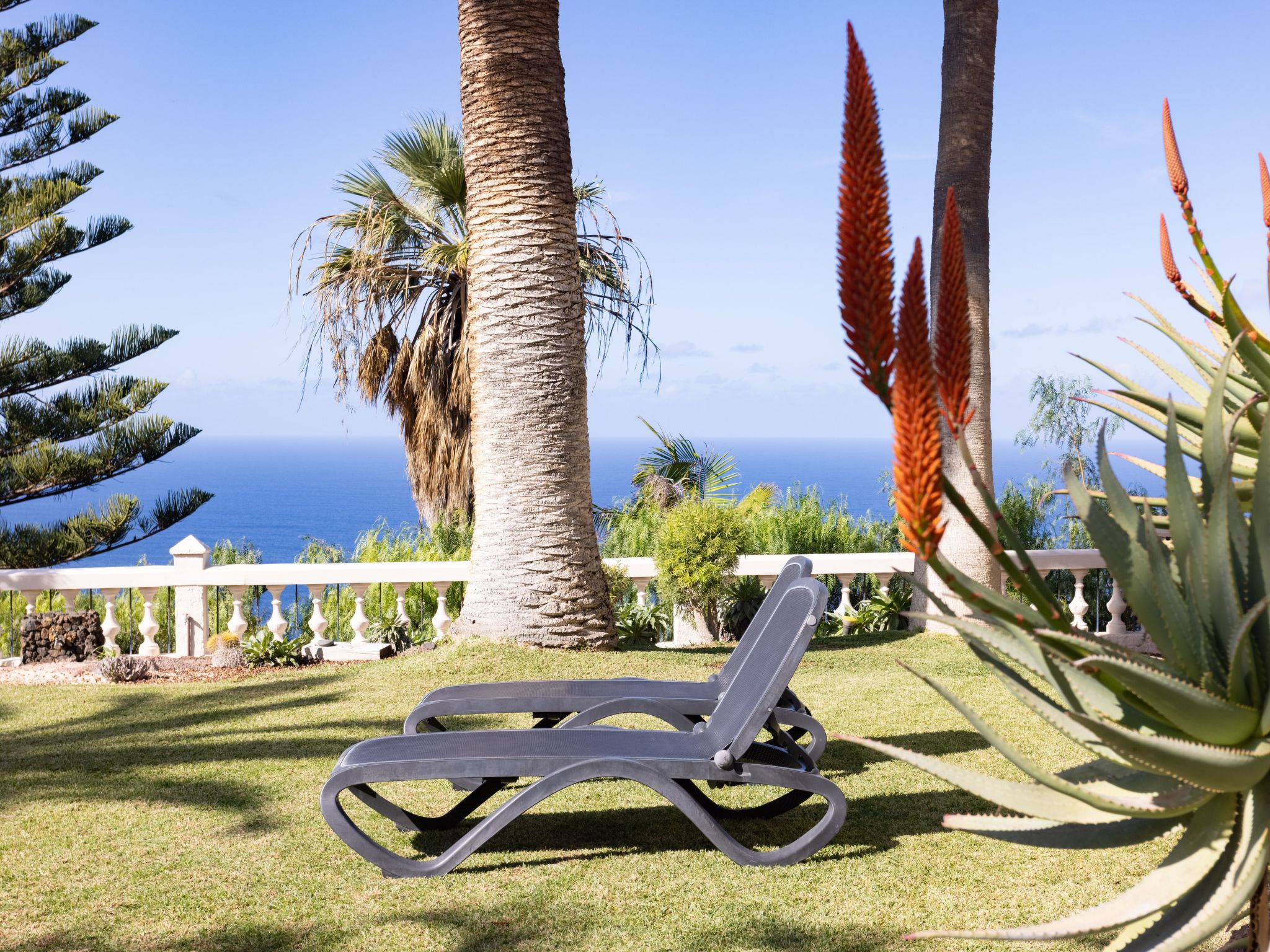 El Refugio-Image-tags.info