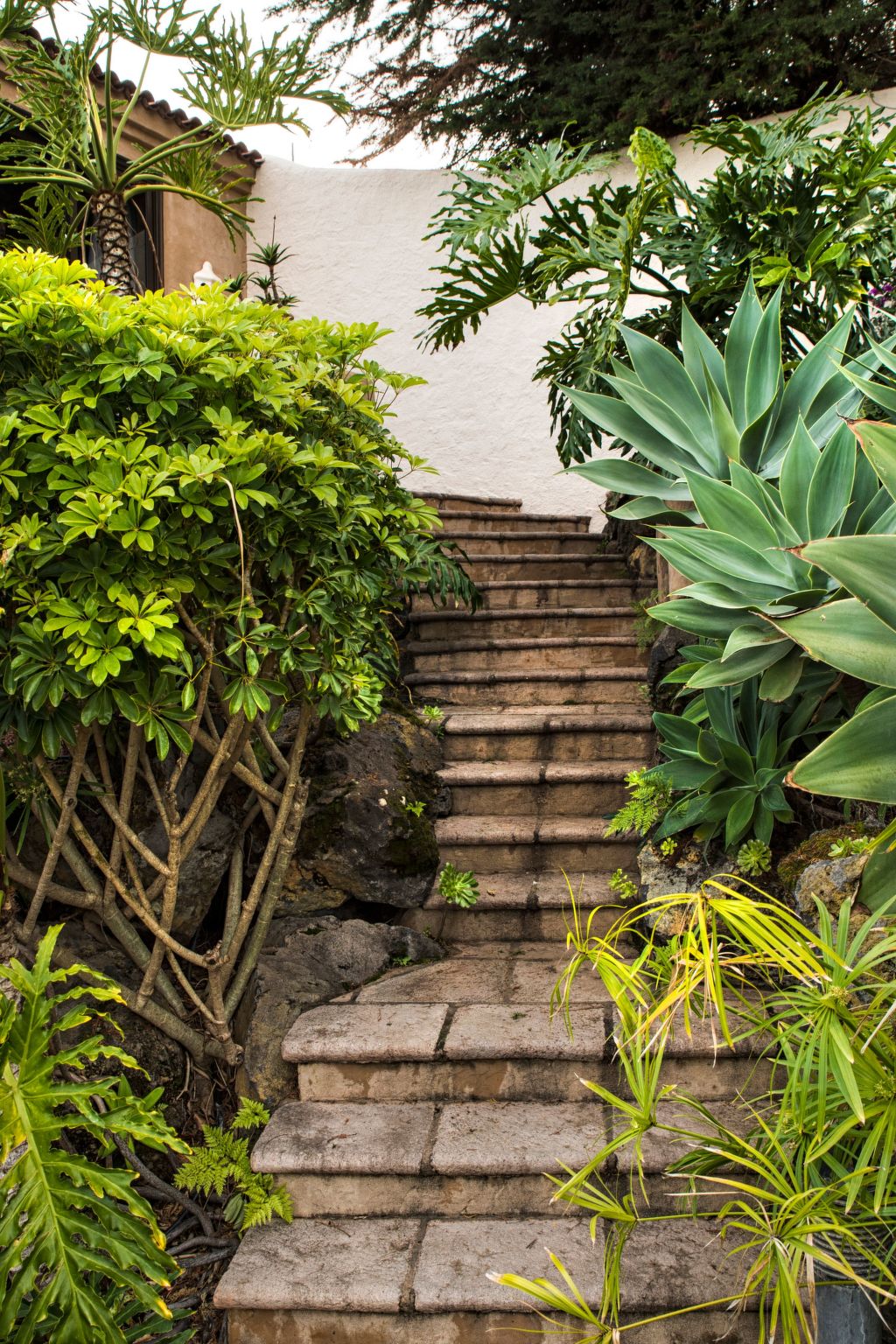 In La Matanza De Acentejo mit Großem Garten und Panoramablick-Image-tags.info