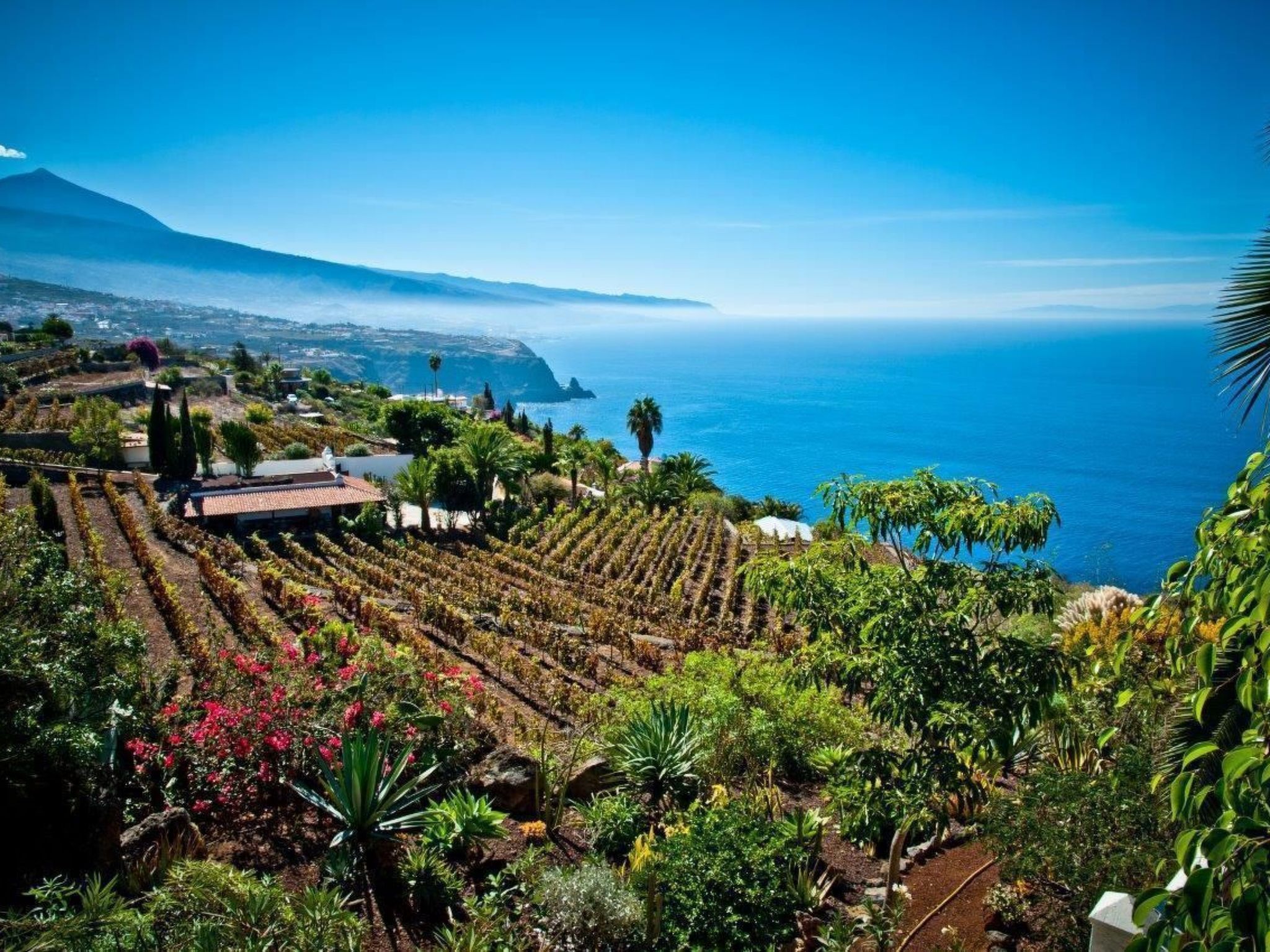 Wohnung in La Matanza De Acentejo mit Terrasse, gemeinsamem Pool und Garten-Image-tags.info