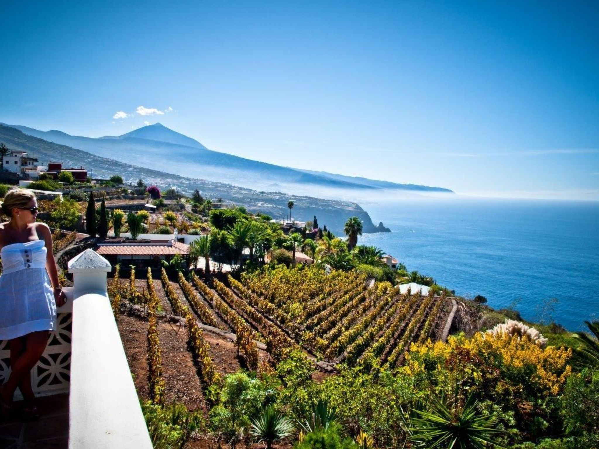 Wohnung in La Matanza De Acentejo mit Terrasse, gemeinsamem Pool und Garten-Image-tags.info