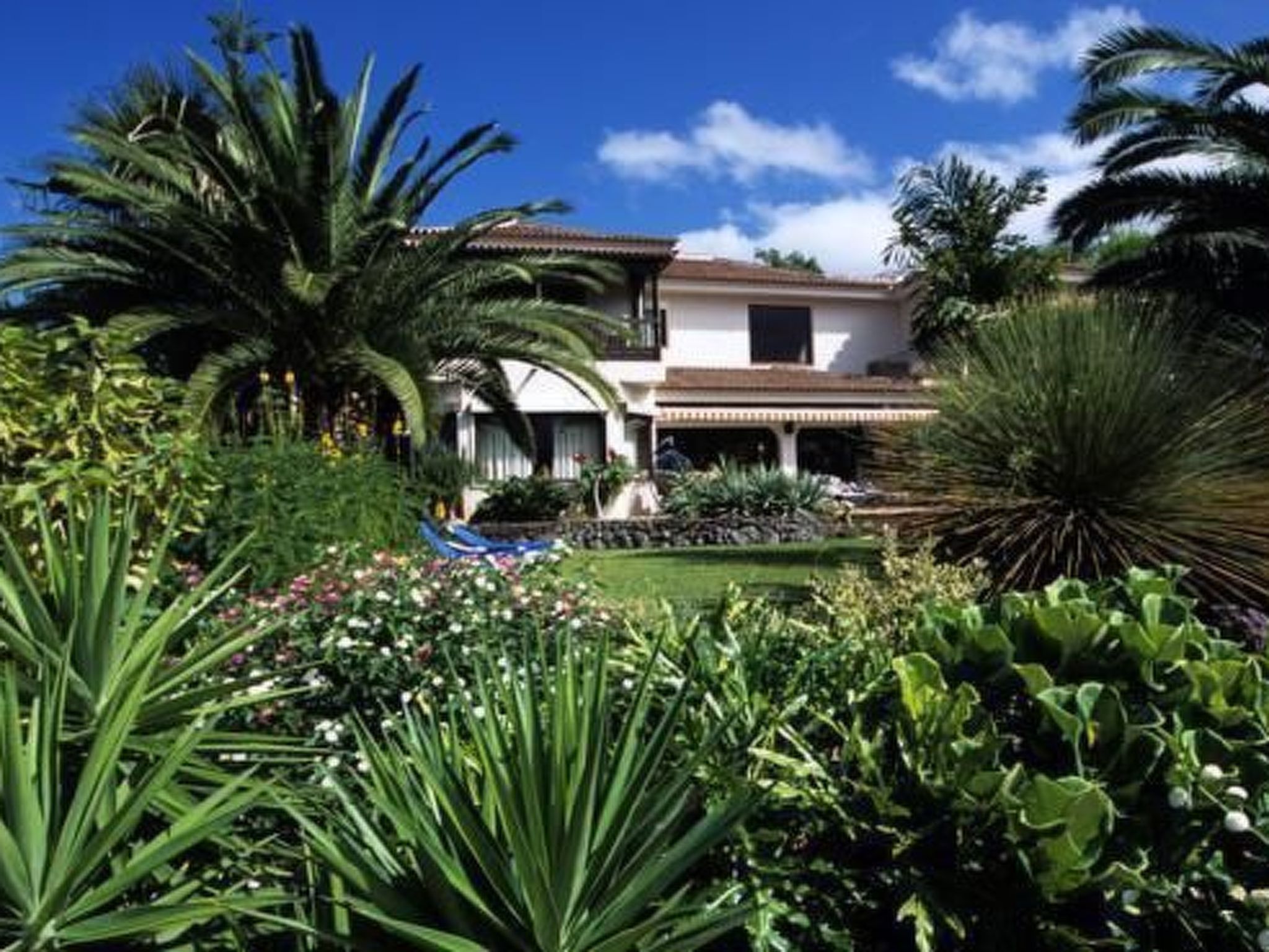 El Teide-Image-tags.info