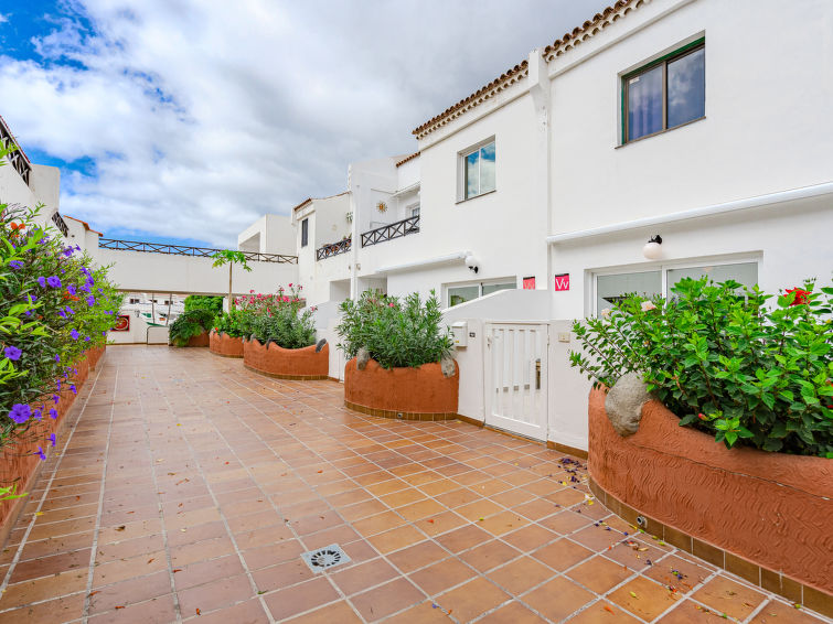 Photo of Copana