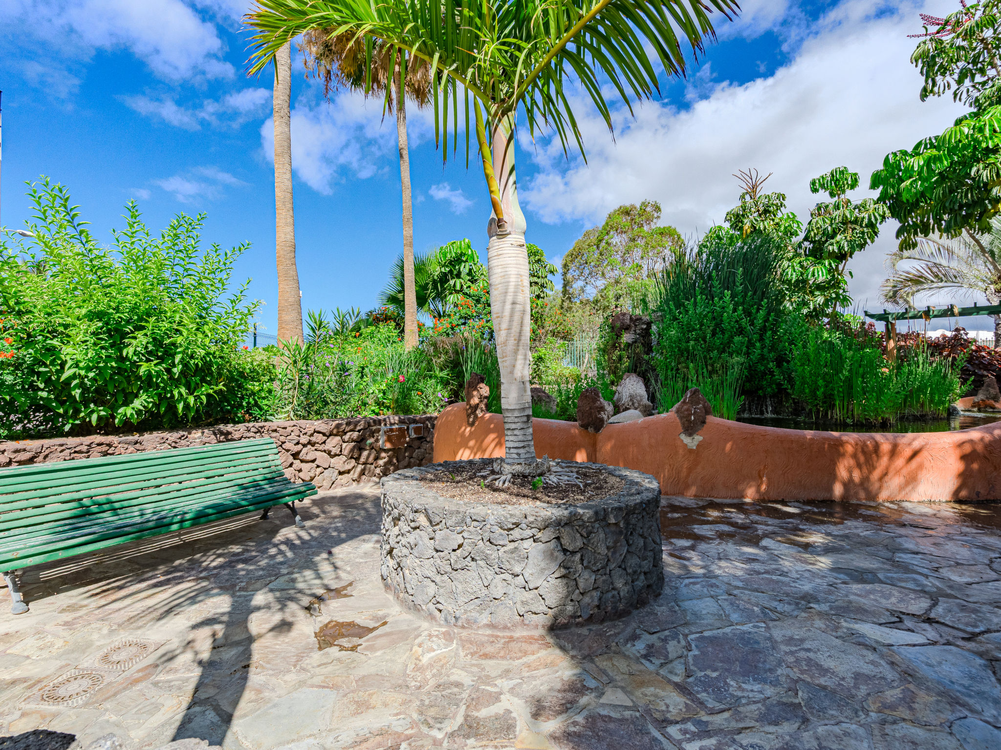 Photo of Parque Don Jose Vista Teide