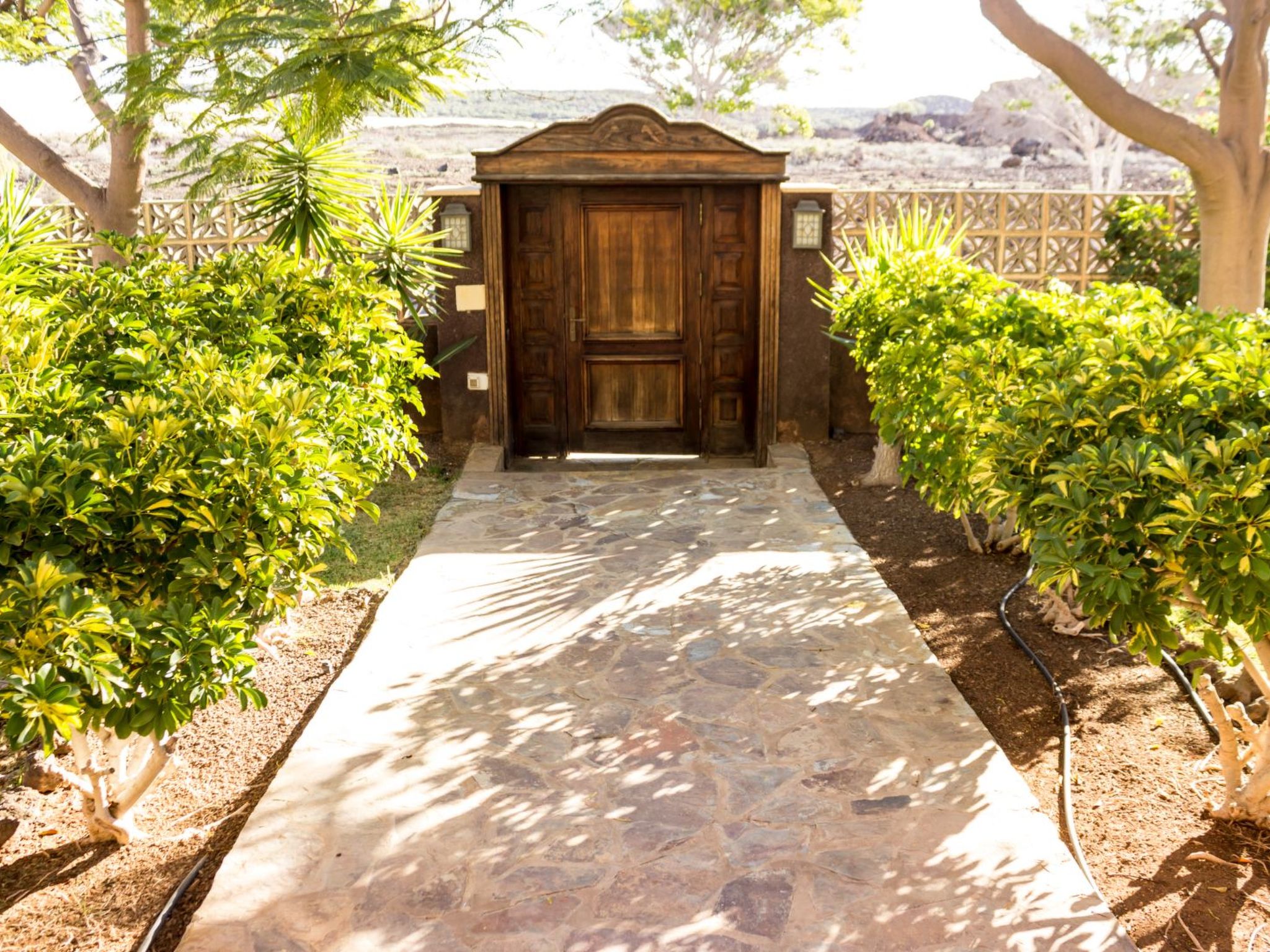 "Floratere" mit Terrasse