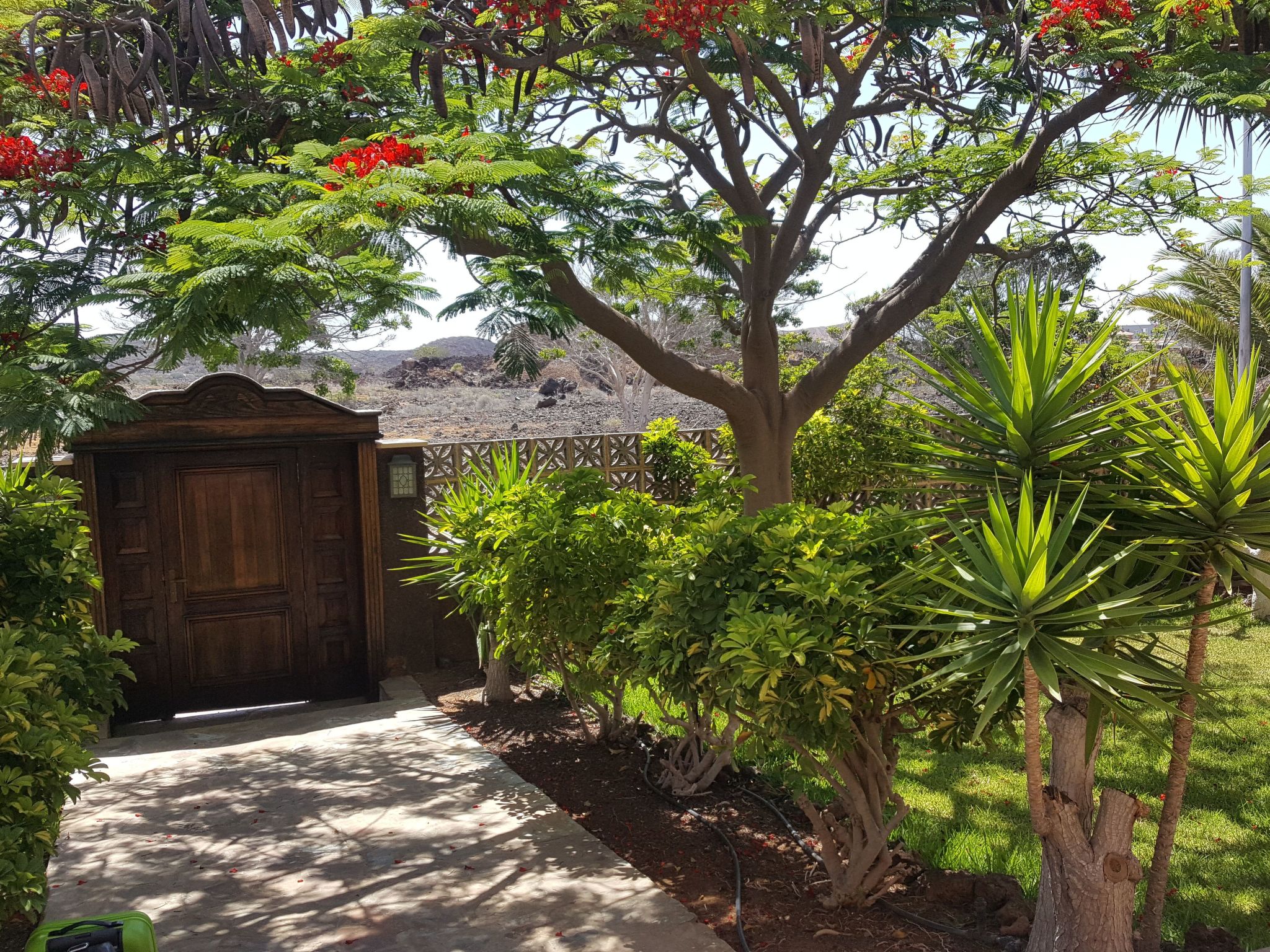 "Floratere" mit Terrasse-Outside