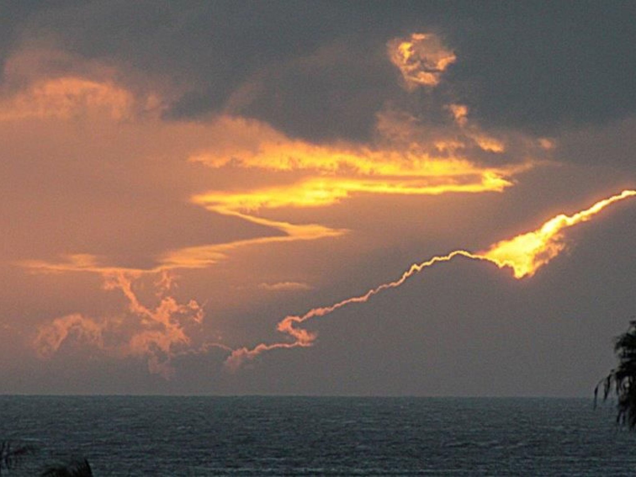 Luxusapartment-Binnen