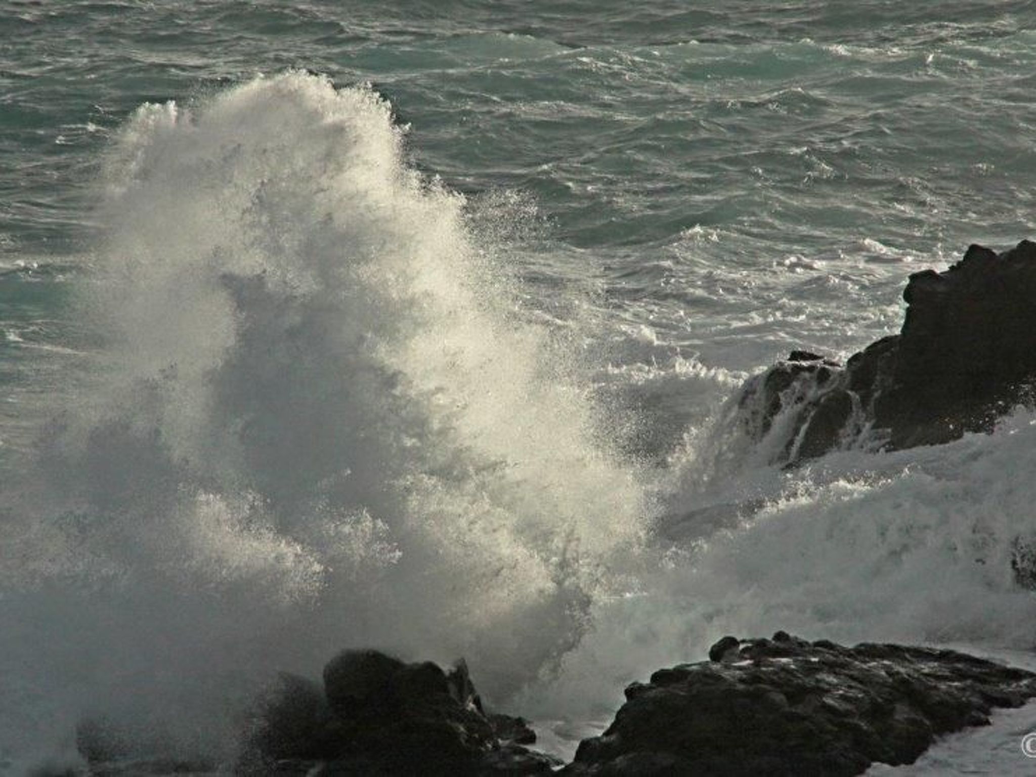 Luxusapartment-Binnen