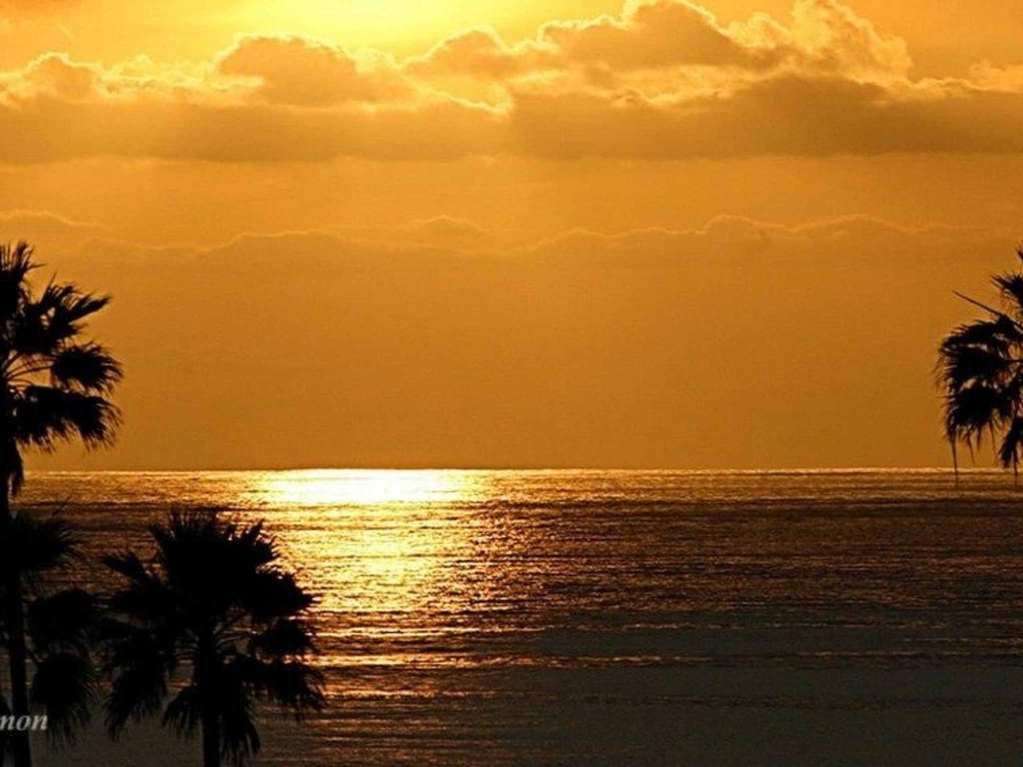 Luxusapartment-Binnen