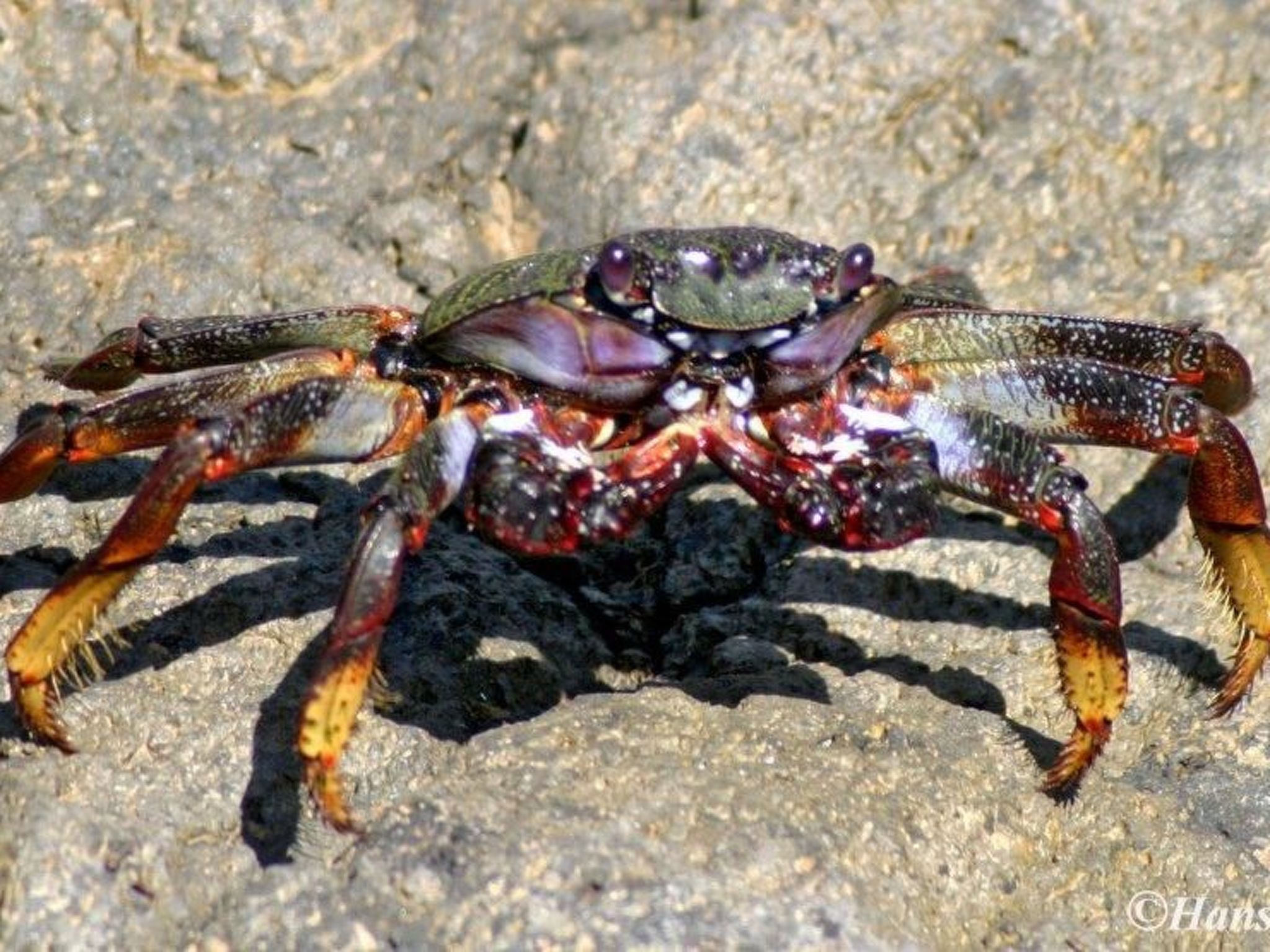 Luxusapartment-Binnen