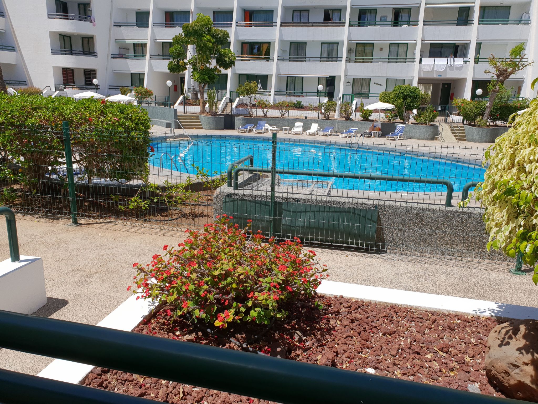 Casa Palmera 2-Binnen