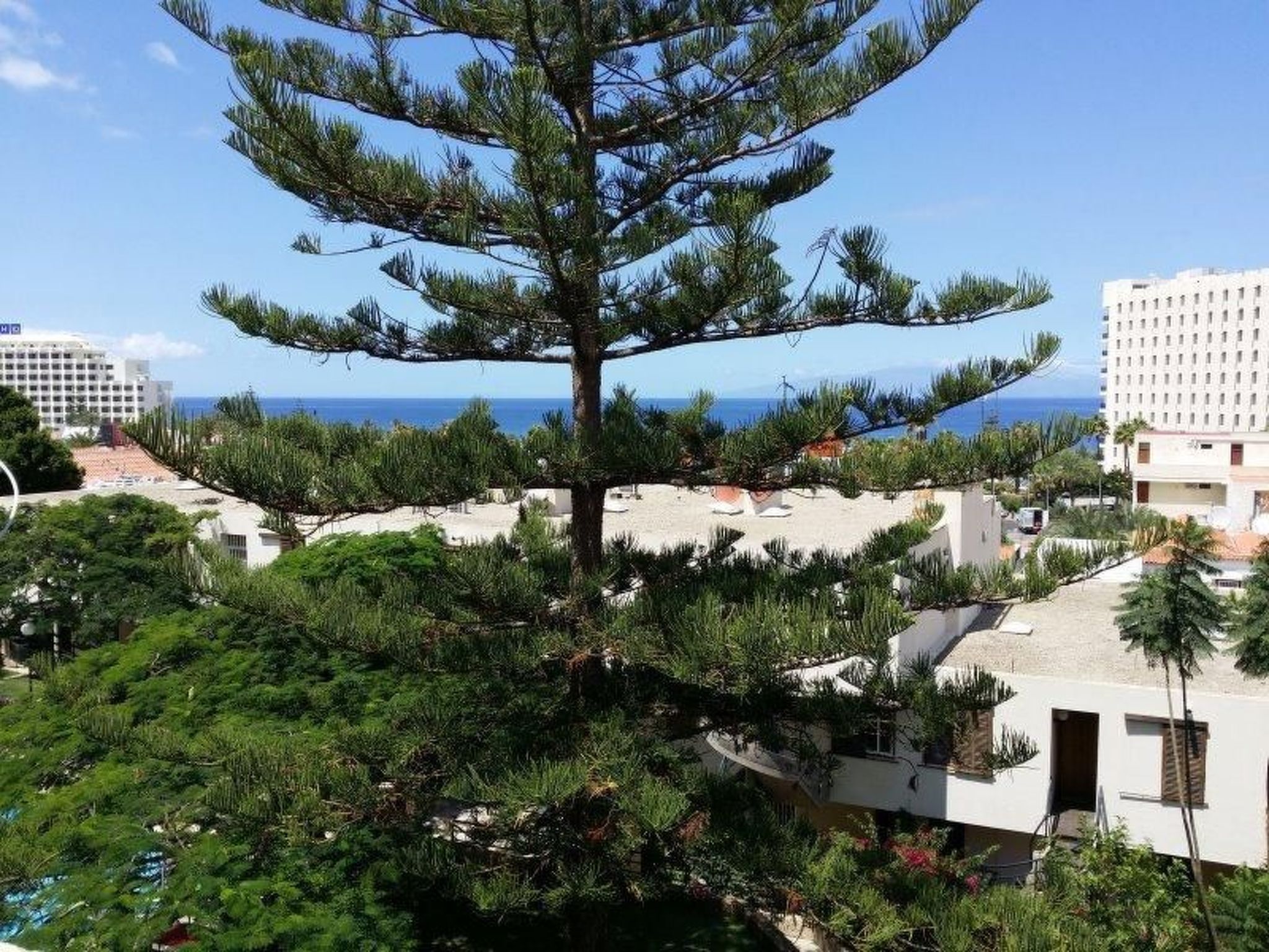 Apartment Jacaranda mit Pool-Dedans