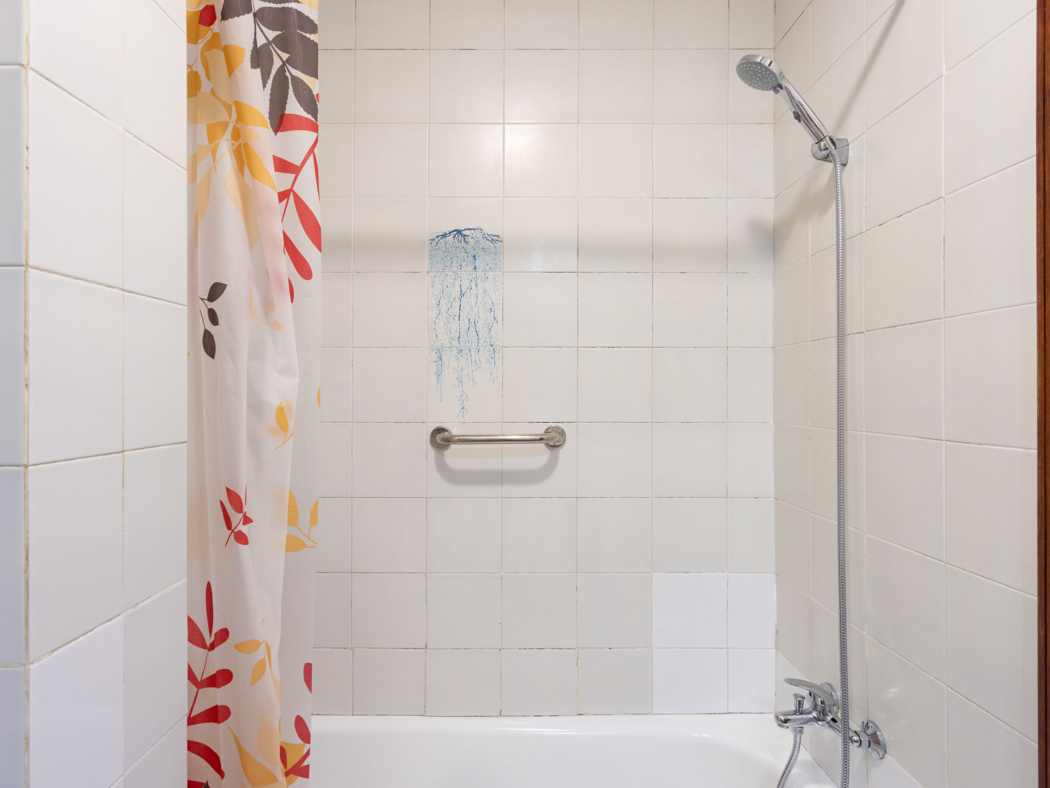 Photo of Comfy Altemar