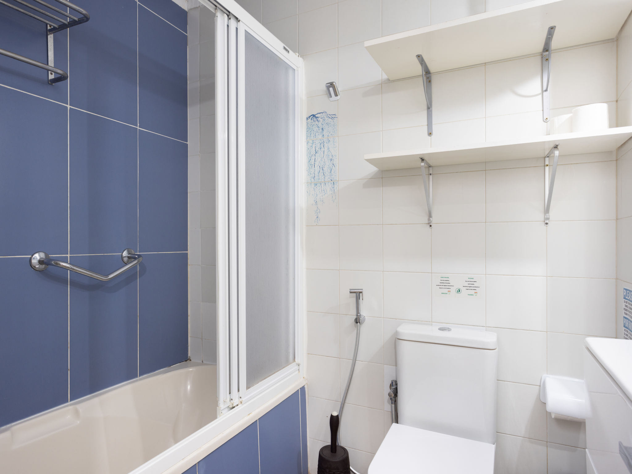 Photo of Comfy Altemar