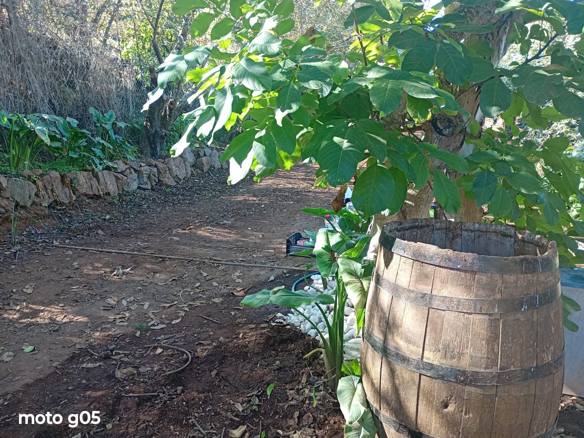 "El pajal House Relax"