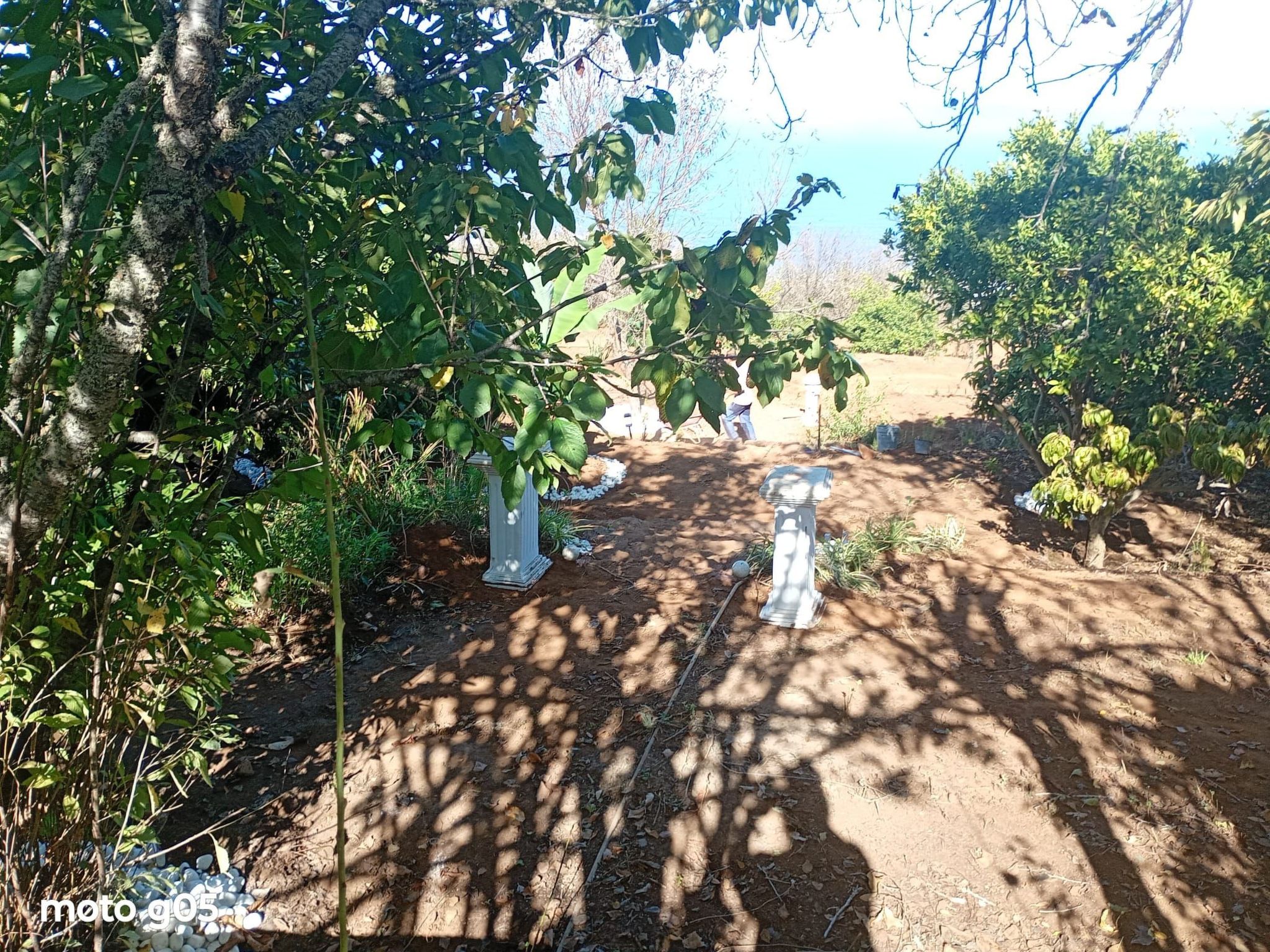 "El pajal House Relax"-Inside