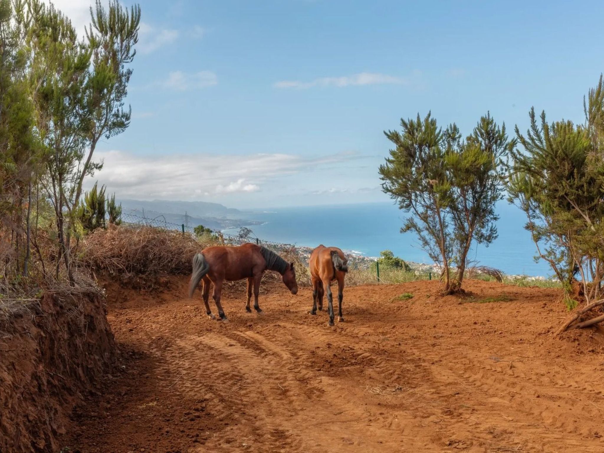 "El pajal House Relax"-Inside