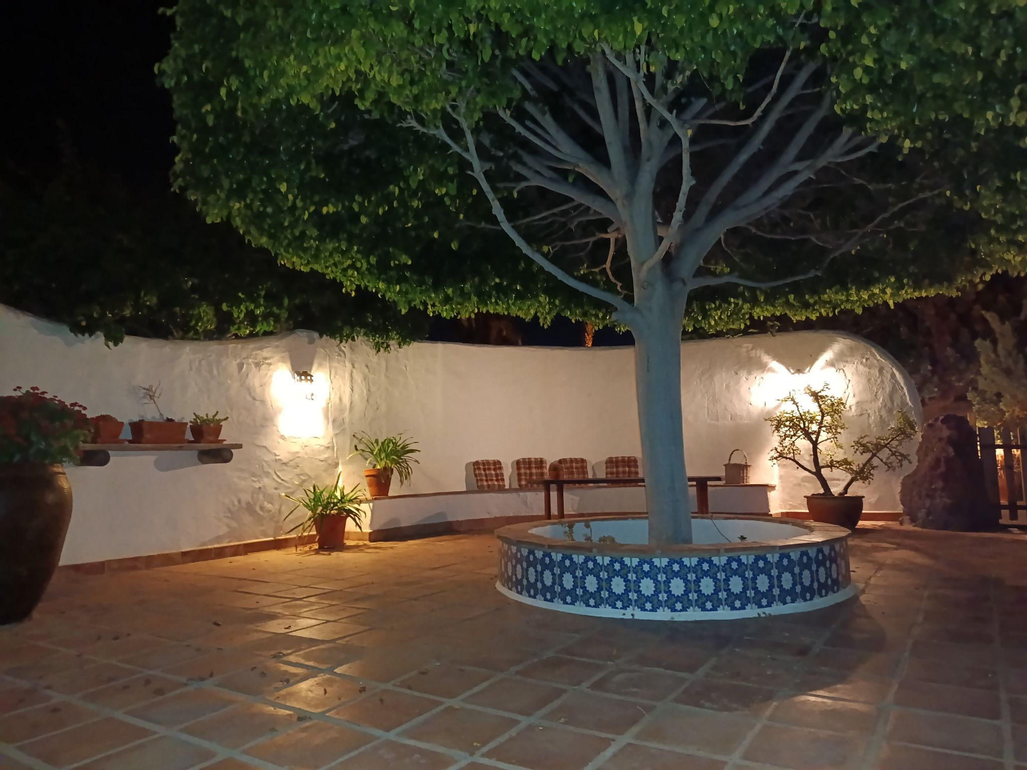 Finca Ingala - Buiten