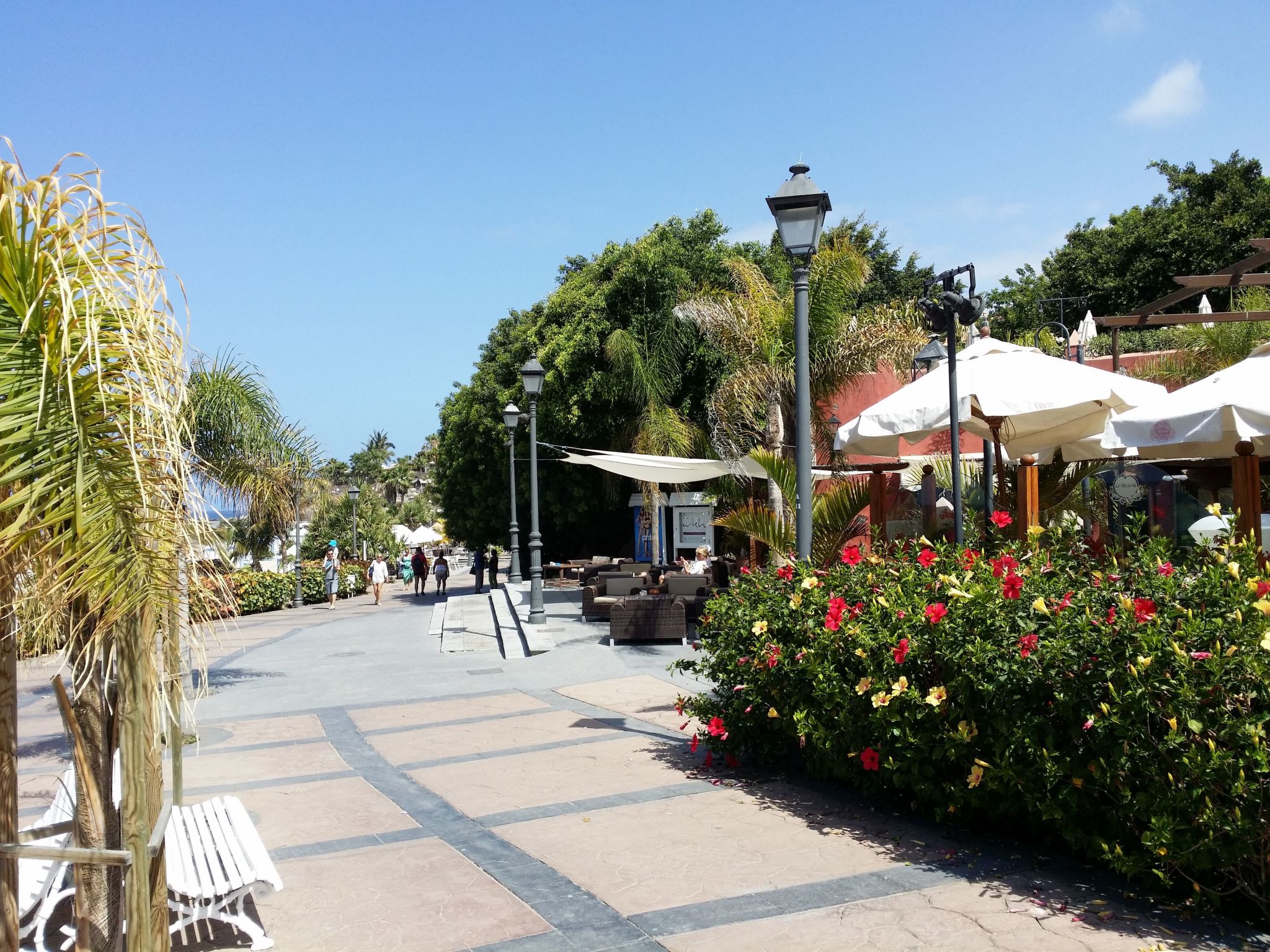 Terrazas del Duque-Image-tags.info