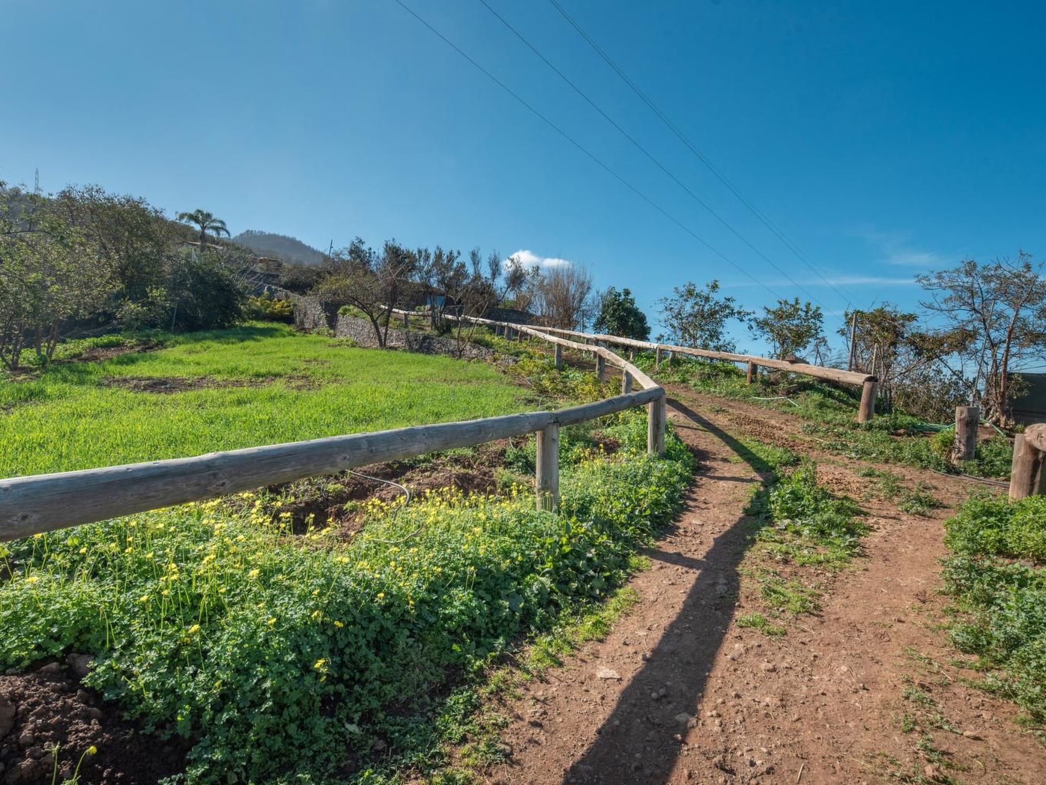 Finca "Sunny Scape Rural-Inside