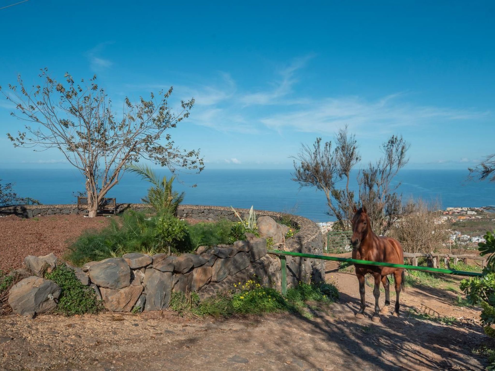 Finca "Sunny Scape Rural-Inside