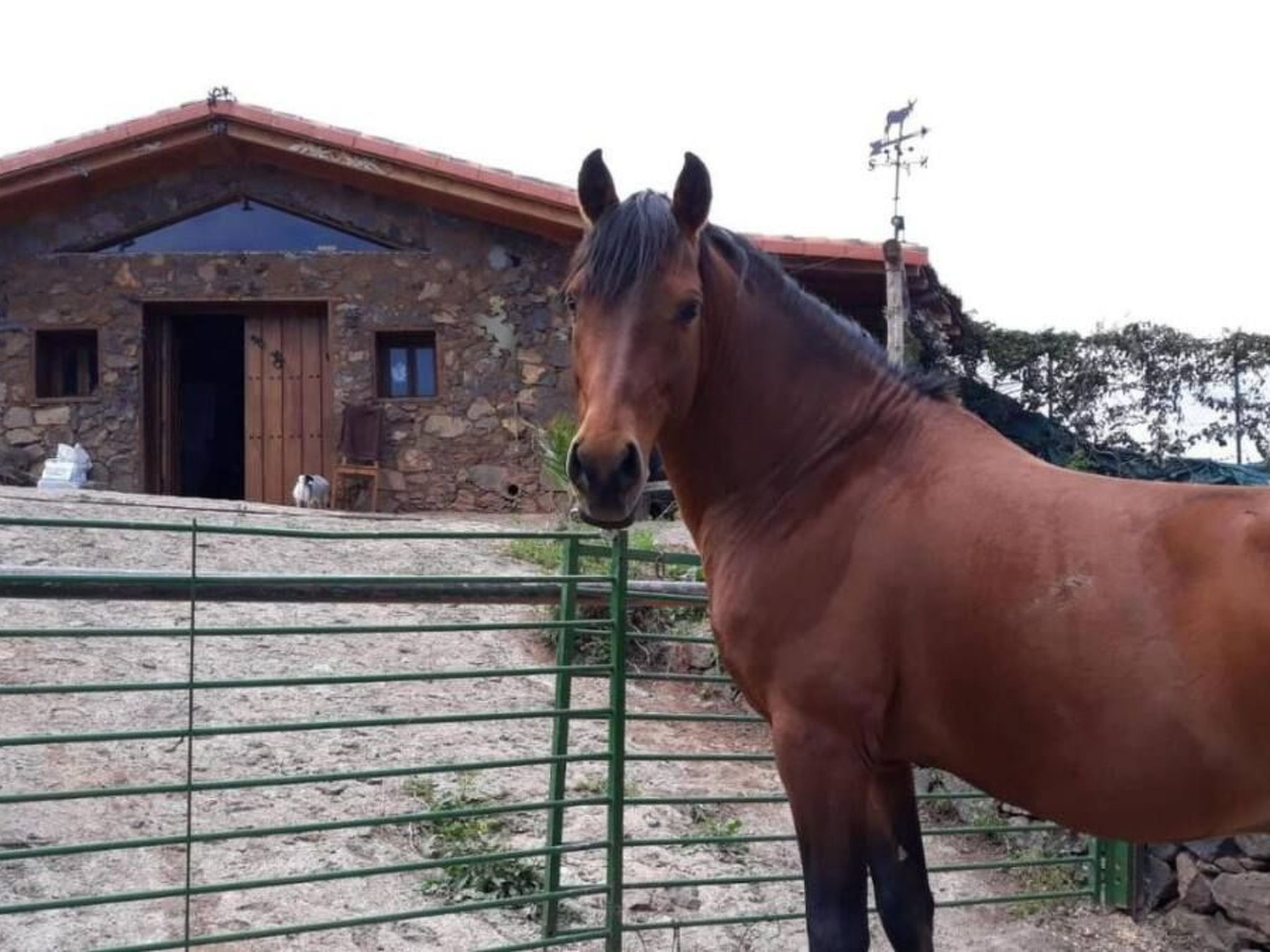 Finca "Sunny Scape Rural-Inside