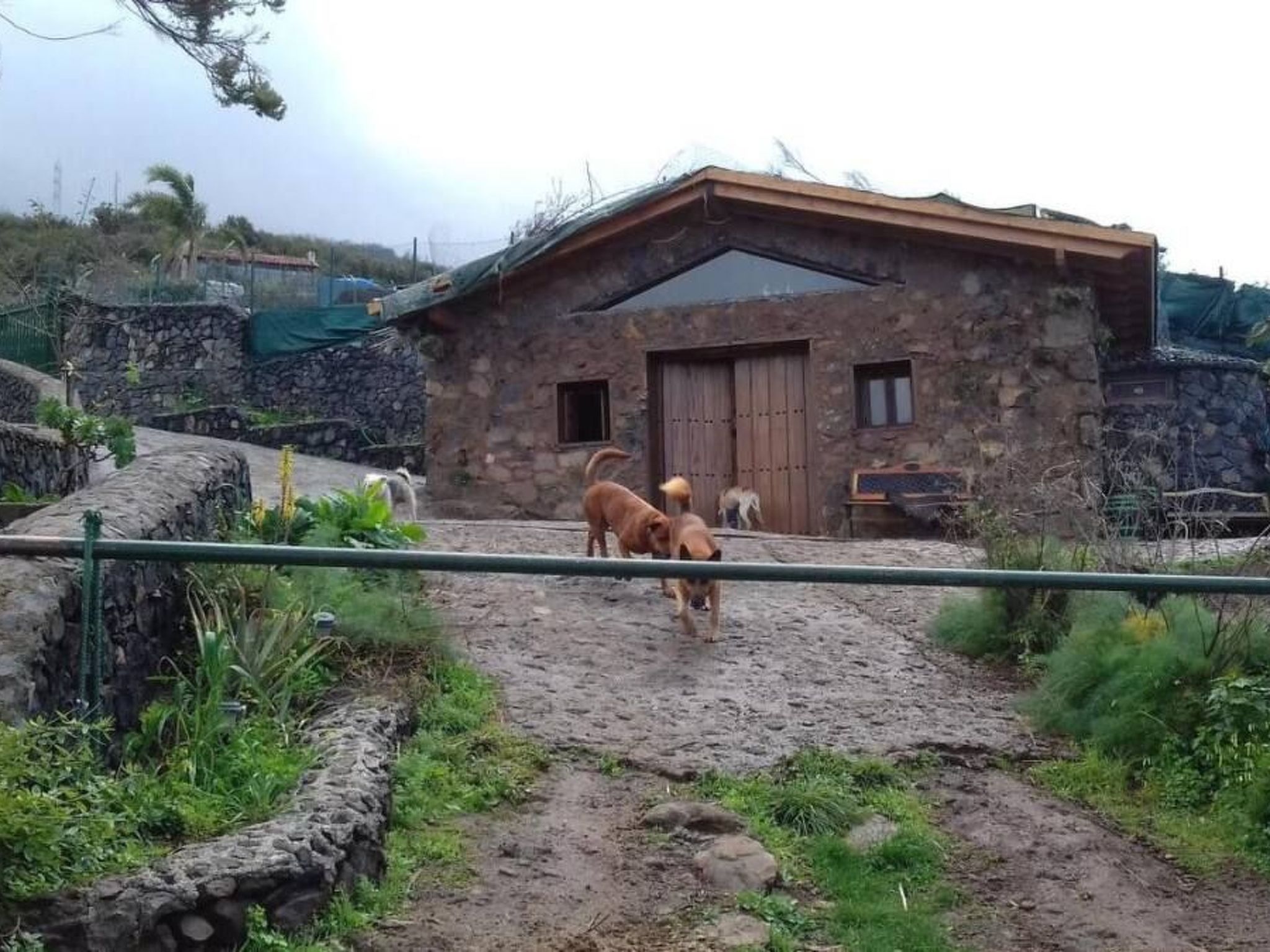 Finca "Sunny Scape Rural-Inside