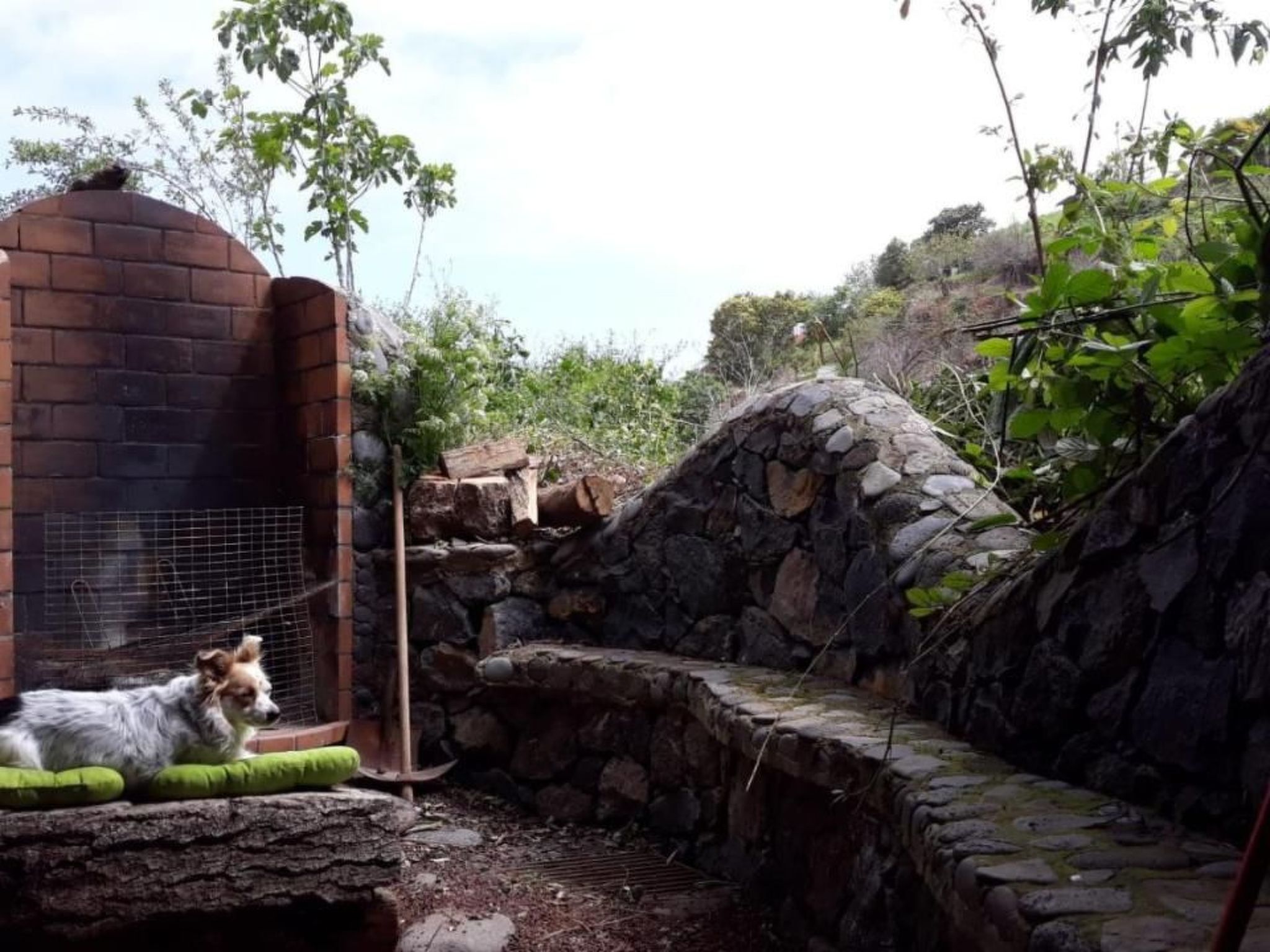 Finca "Sunny Scape Rural-Inside