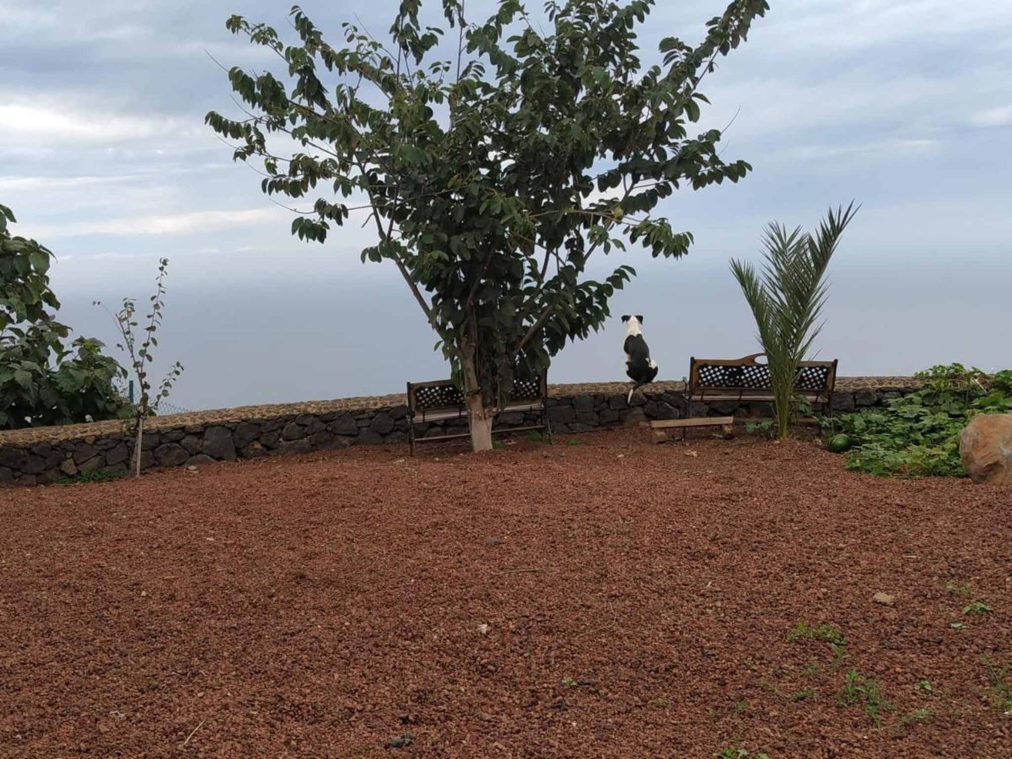 Finca "Sunny Scape Rural-Inside