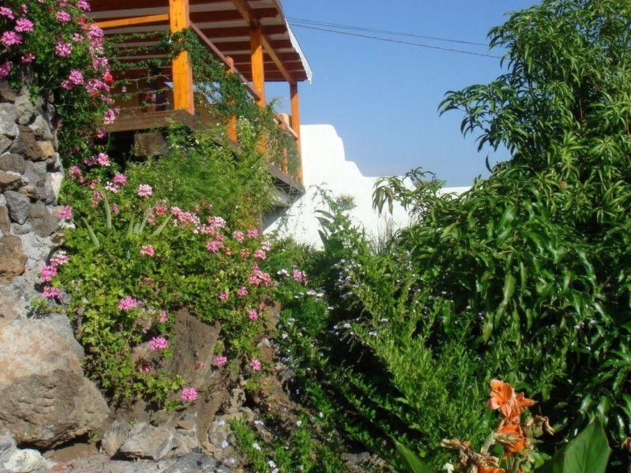 Casa Flores Alcala-Image-tags.info