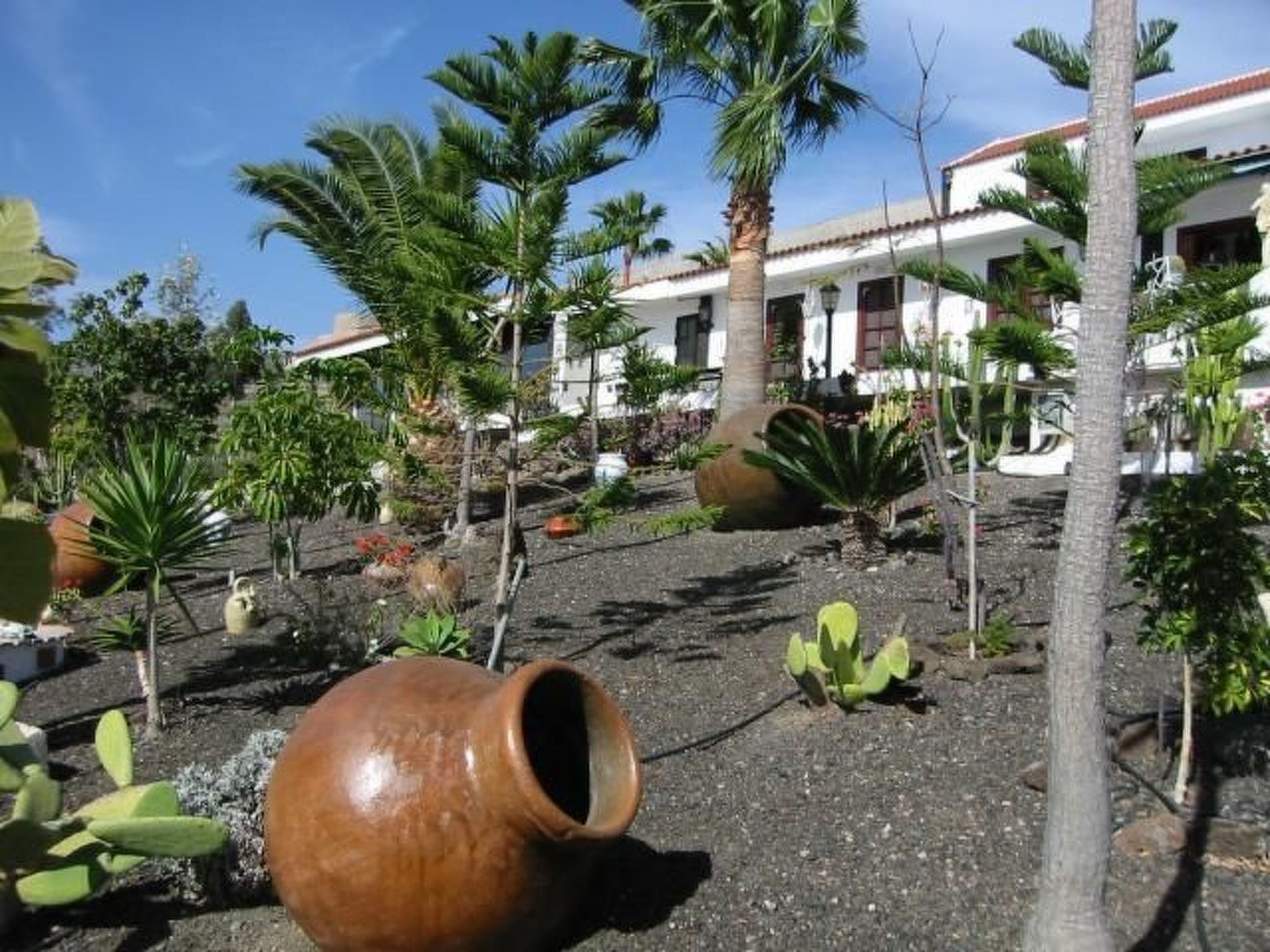 Casa Flores Alcala-Image-tags.info